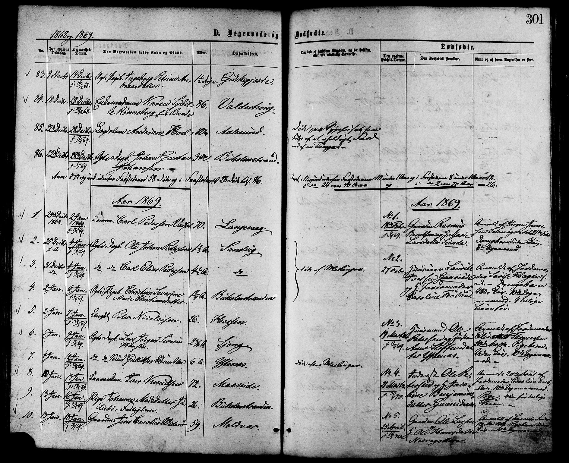 Ministerialprotokoller, klokkerbøker og fødselsregistre - Møre og Romsdal, AV/SAT-A-1454/528/L0399: Parish register (official) no. 528A10, 1864-1879, p. 301