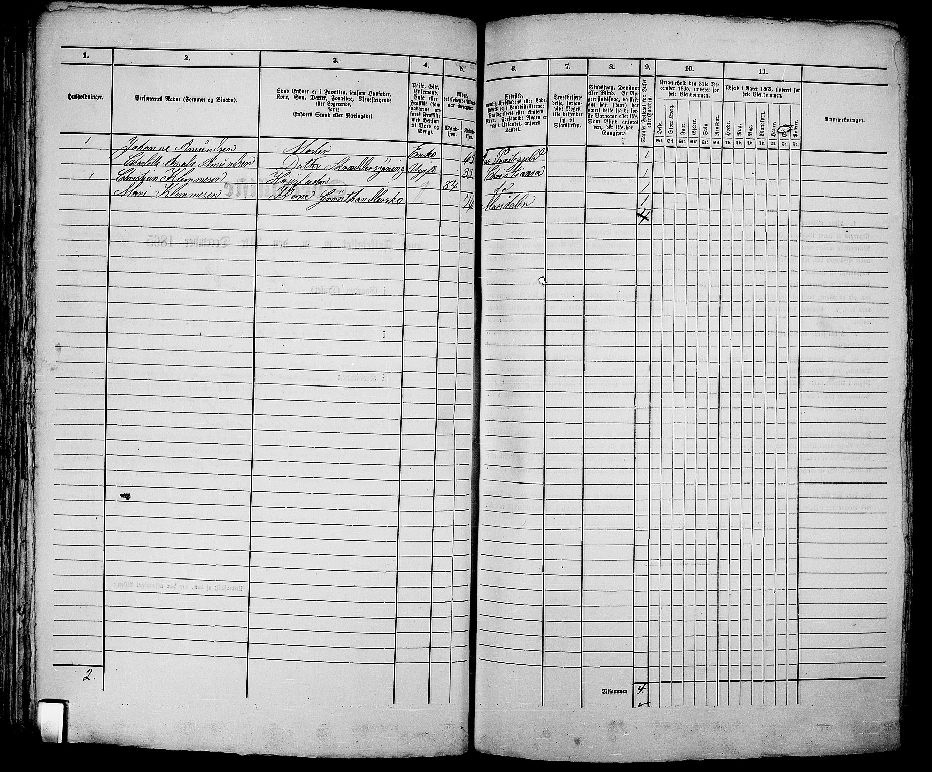 RA, 1865 census for Kristiania, 1865, p. 1295