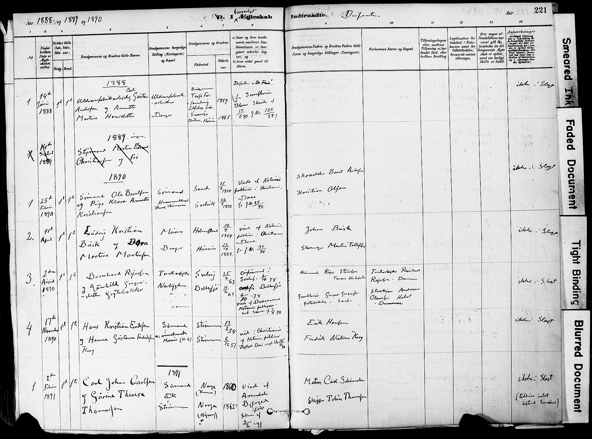 Strømm kirkebøker, AV/SAKO-A-322/F/Fa/L0004: Parish register (official) no. I 4, 1878-1899, p. 221