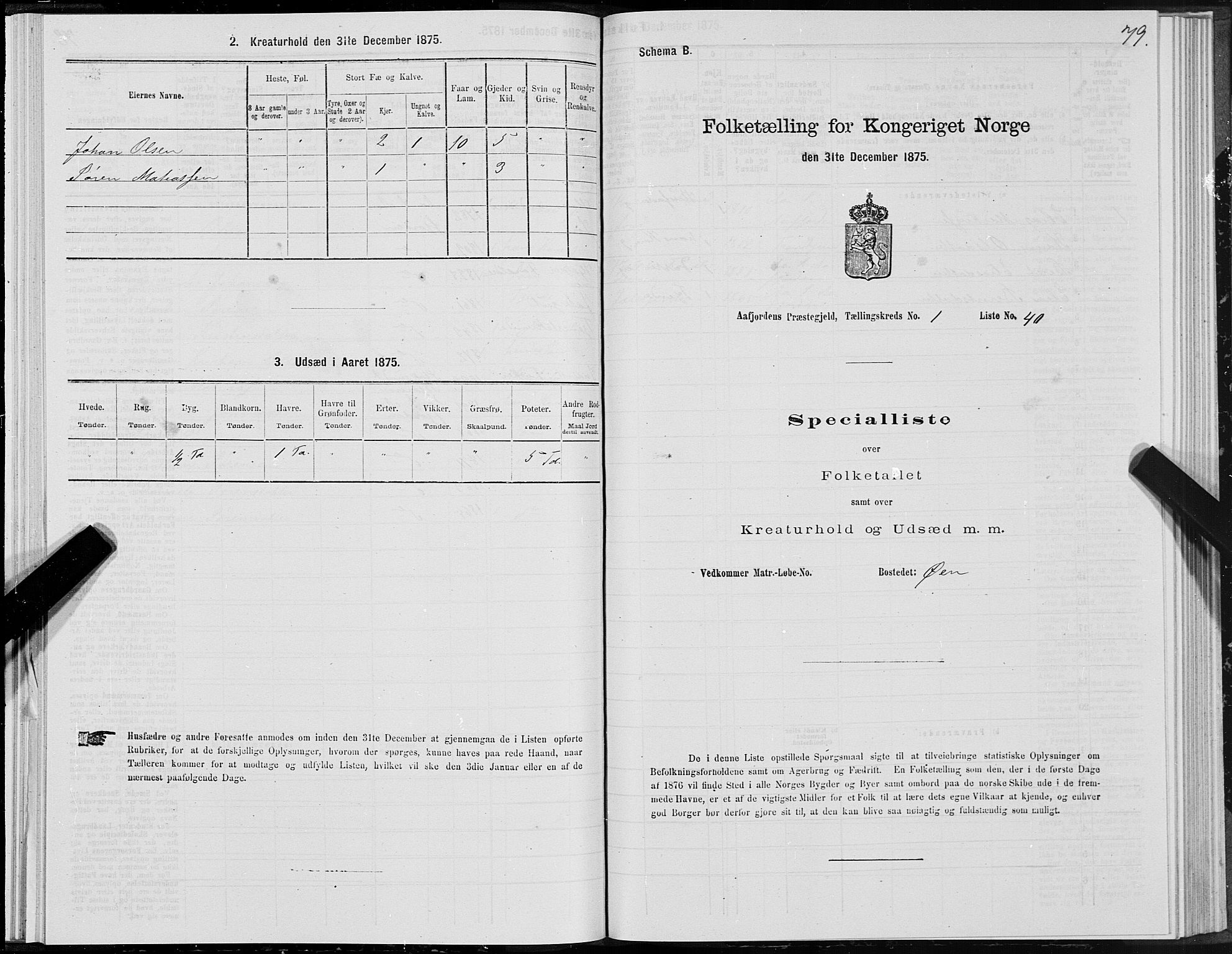 SAT, 1875 census for 1630P Aafjorden, 1875, p. 1079