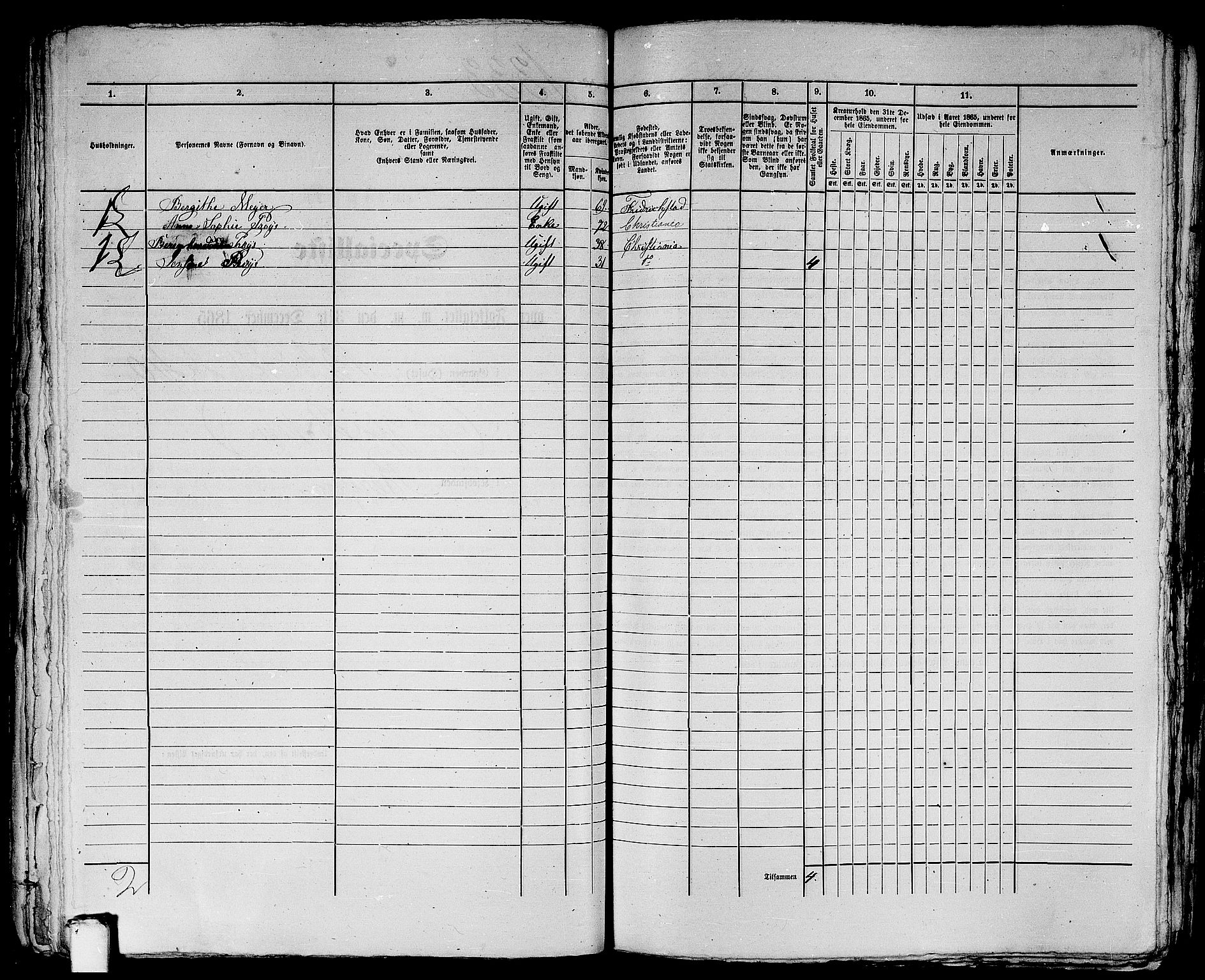 RA, 1865 census for Bergen, 1865, p. 2733