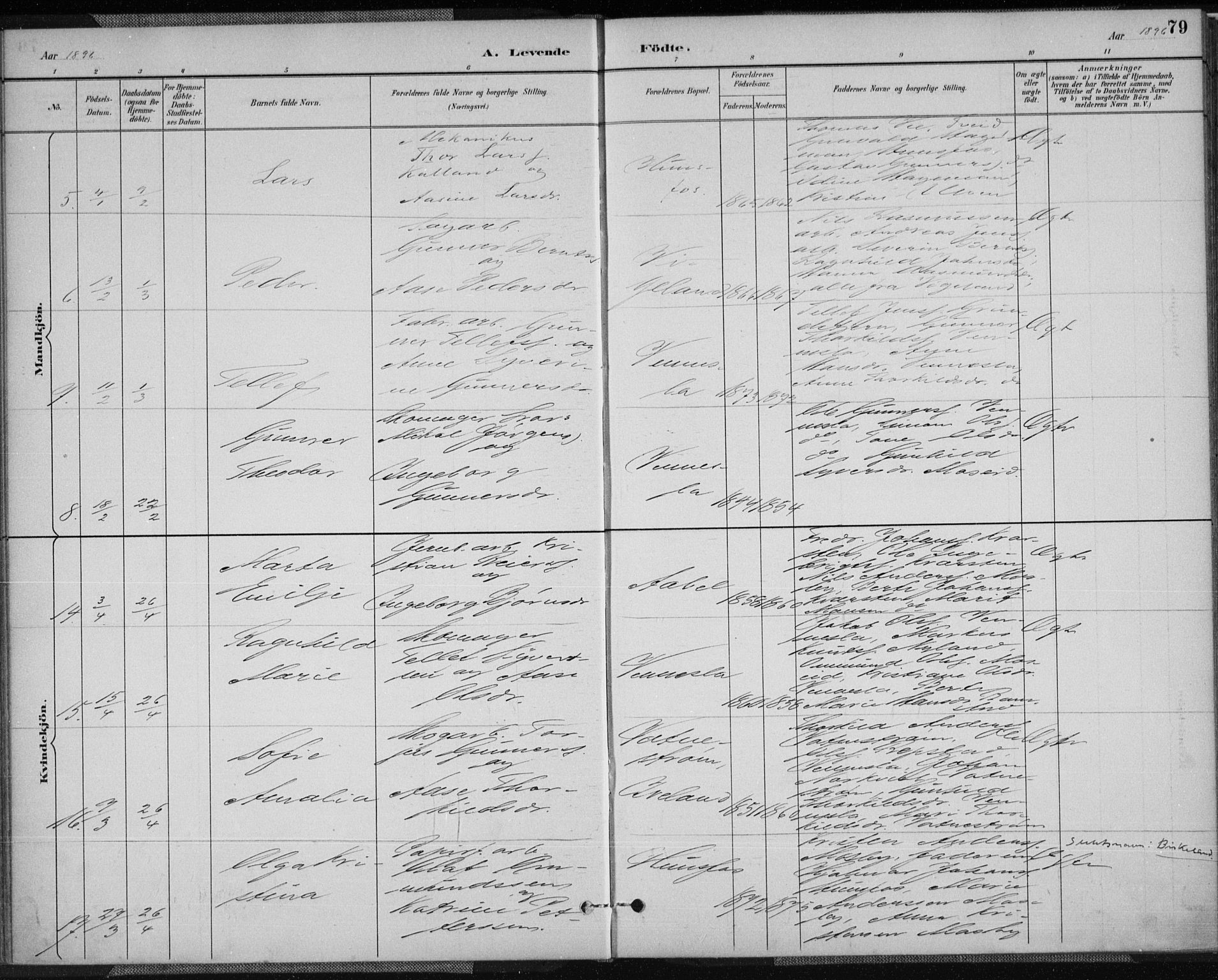 Vennesla sokneprestkontor, AV/SAK-1111-0045/Fa/Fab/L0004: Parish register (official) no. A 4, 1884-1896, p. 79