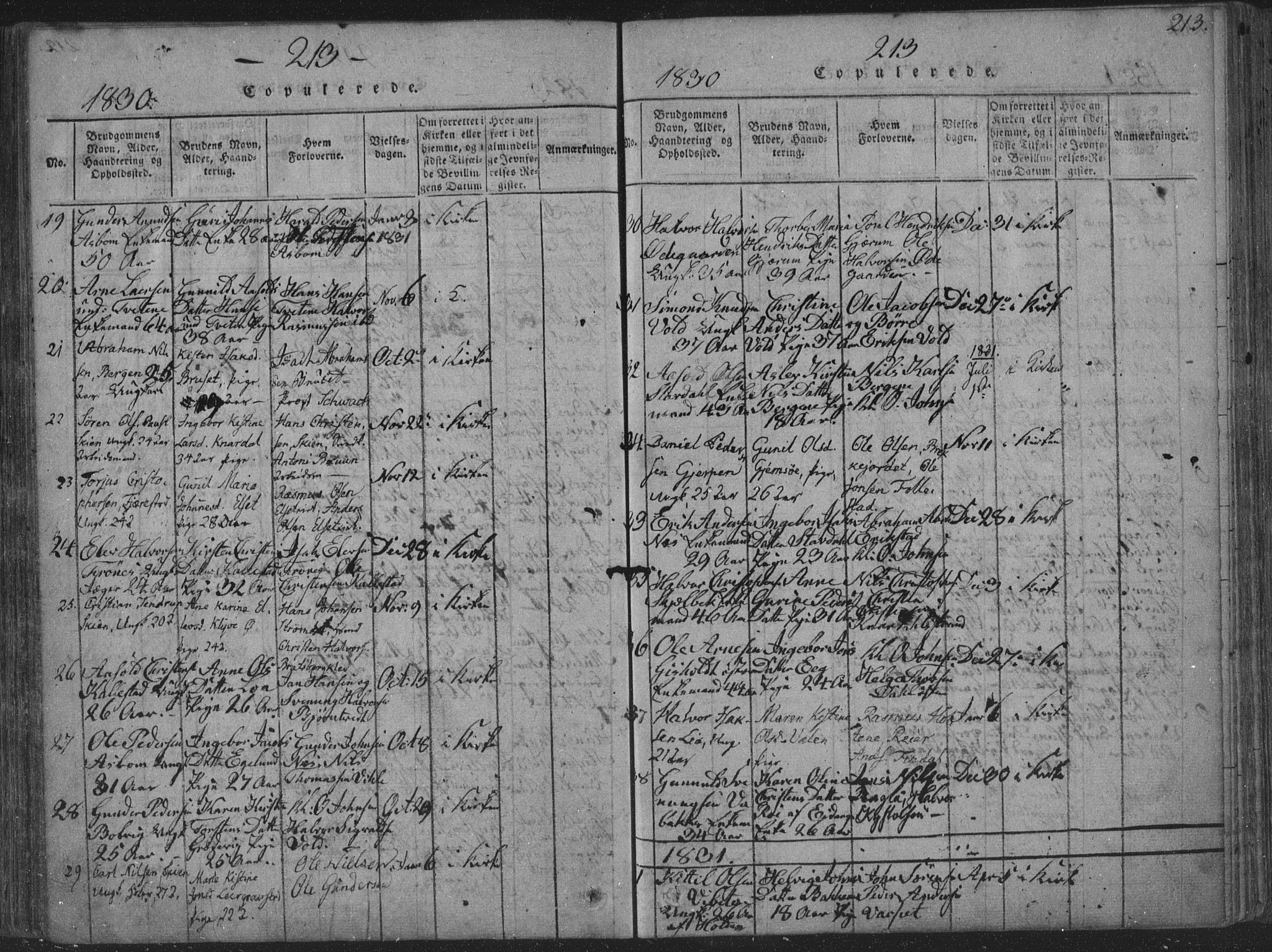 Solum kirkebøker, SAKO/A-306/F/Fa/L0004: Parish register (official) no. I 4, 1814-1833, p. 213