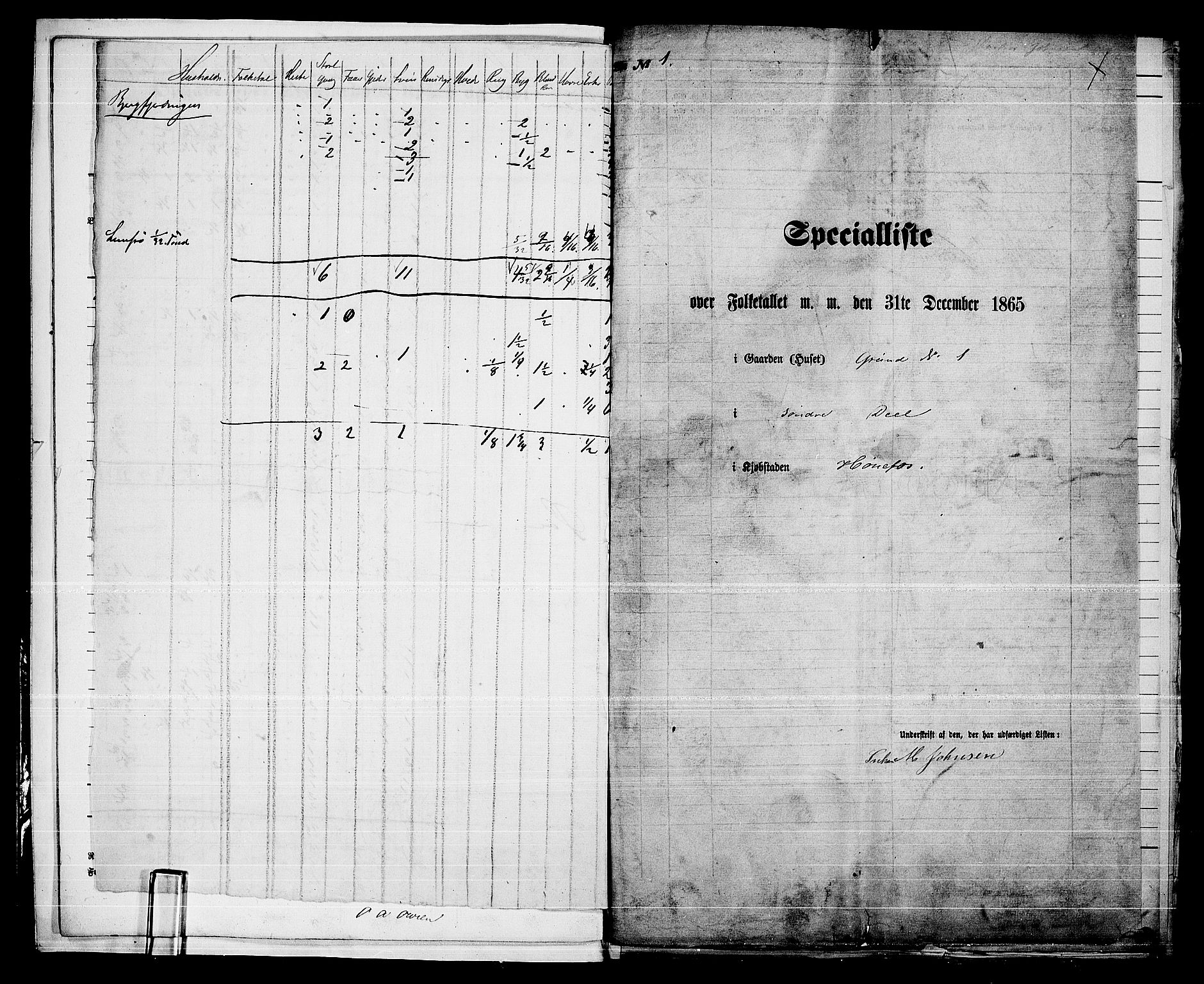 RA, 1865 census for Norderhov/Hønefoss, 1865, p. 8