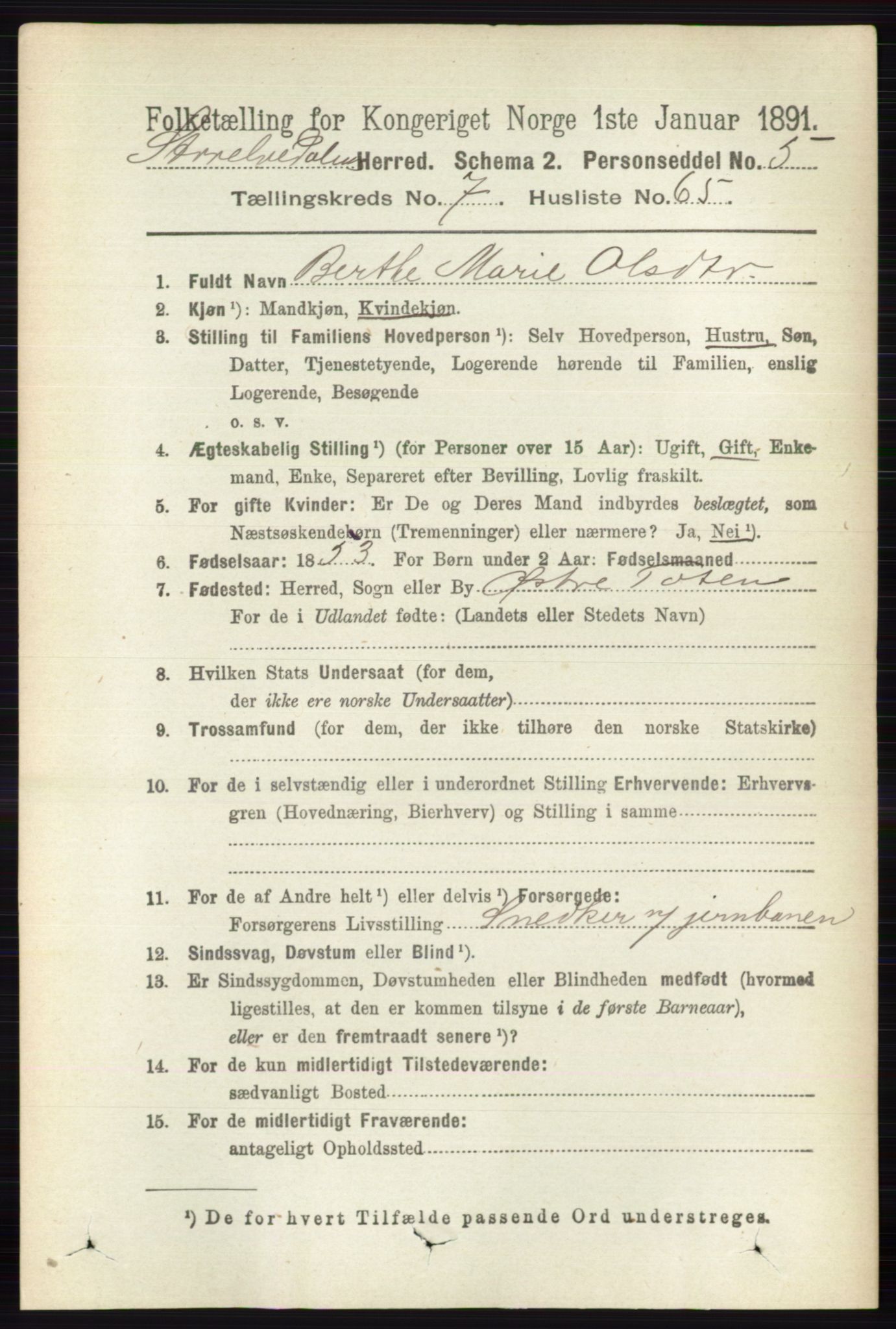 RA, 1891 census for 0430 Stor-Elvdal, 1891, p. 3183