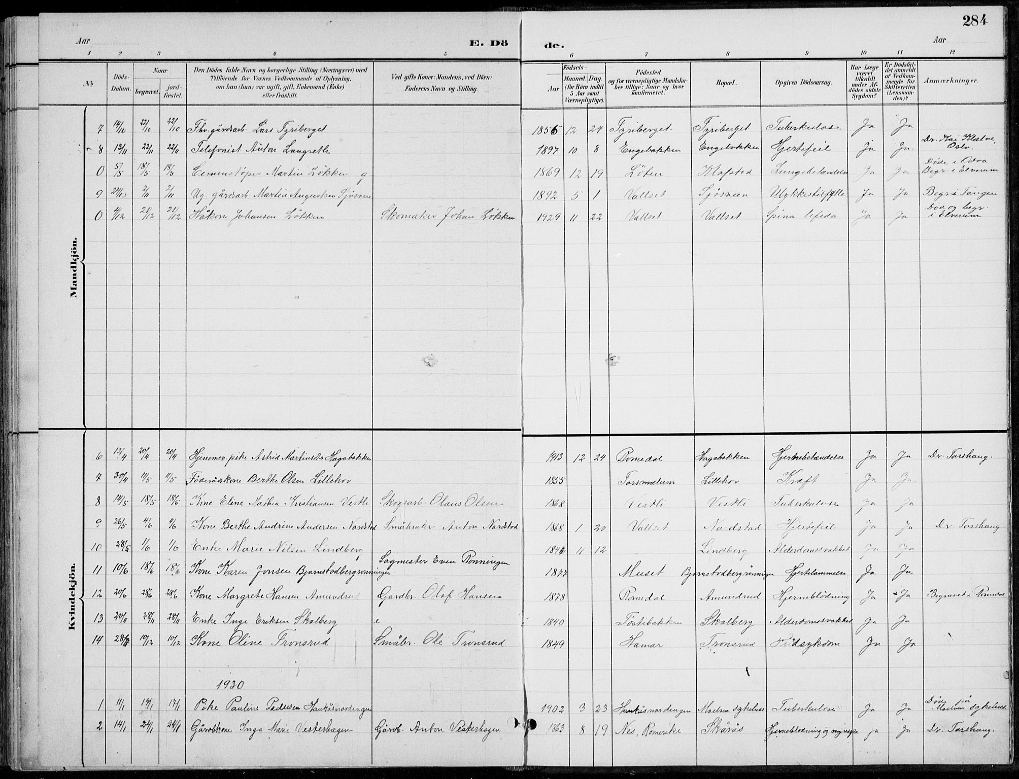 Romedal prestekontor, AV/SAH-PREST-004/L/L0013: Parish register (copy) no. 13, 1896-1937, p. 284