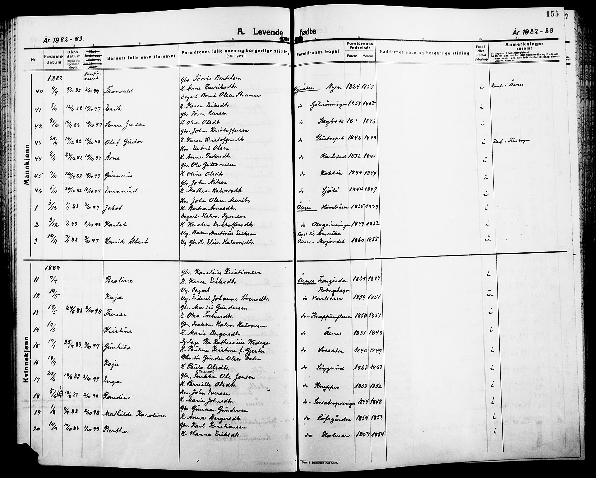 Åsnes prestekontor, AV/SAH-PREST-042/H/Ha/Haa/L0000B: Parish register (official), 1870-1889, p. 155