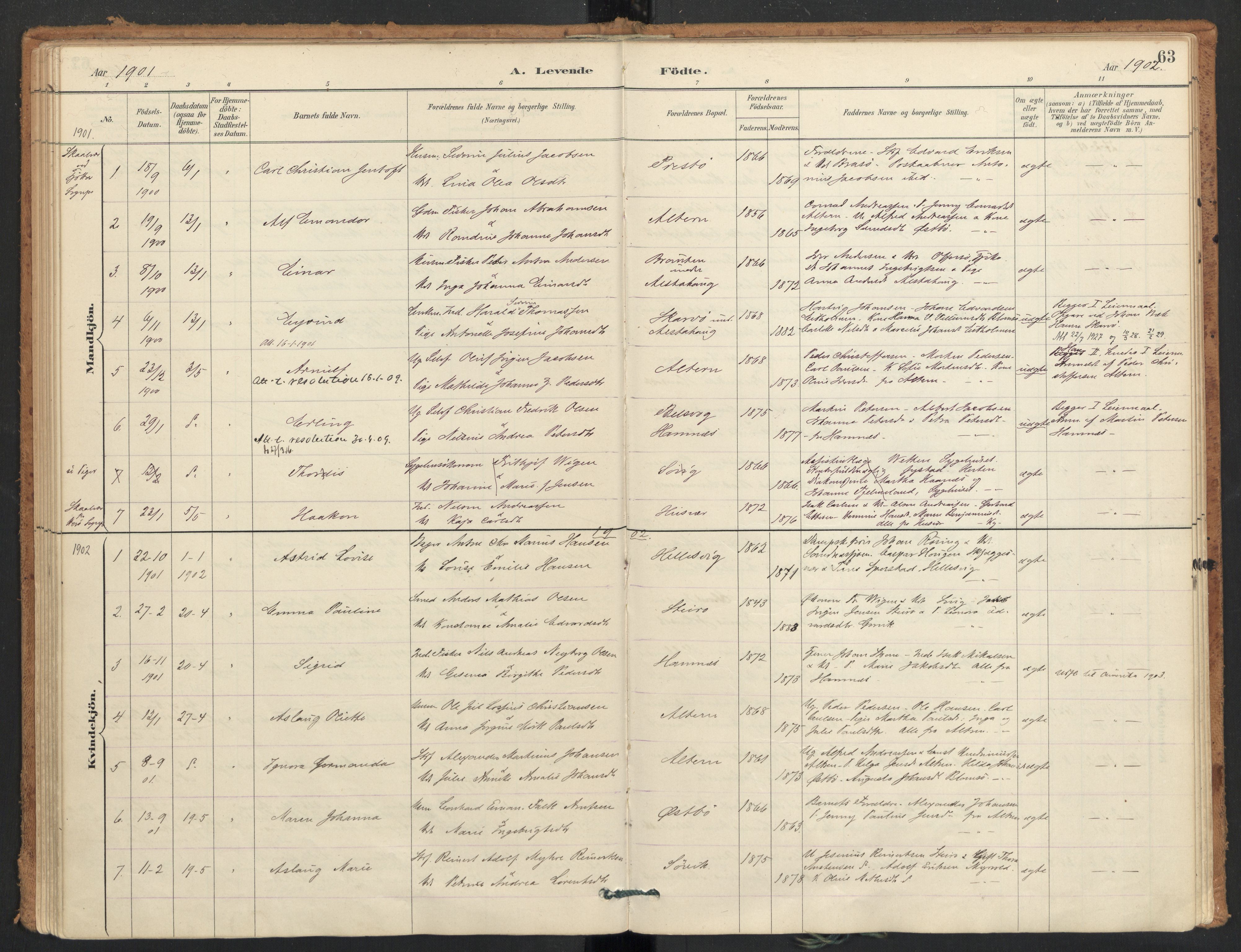 Ministerialprotokoller, klokkerbøker og fødselsregistre - Nordland, SAT/A-1459/830/L0453: Parish register (official) no. 830A17, 1886-1911, p. 63