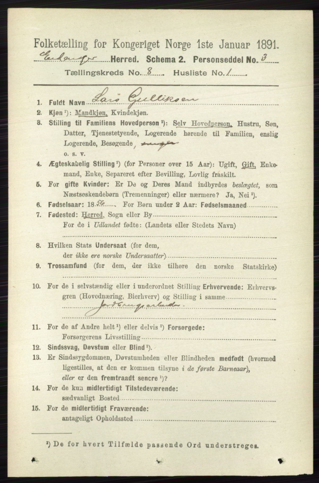 RA, 1891 census for 0813 Eidanger, 1891, p. 2989