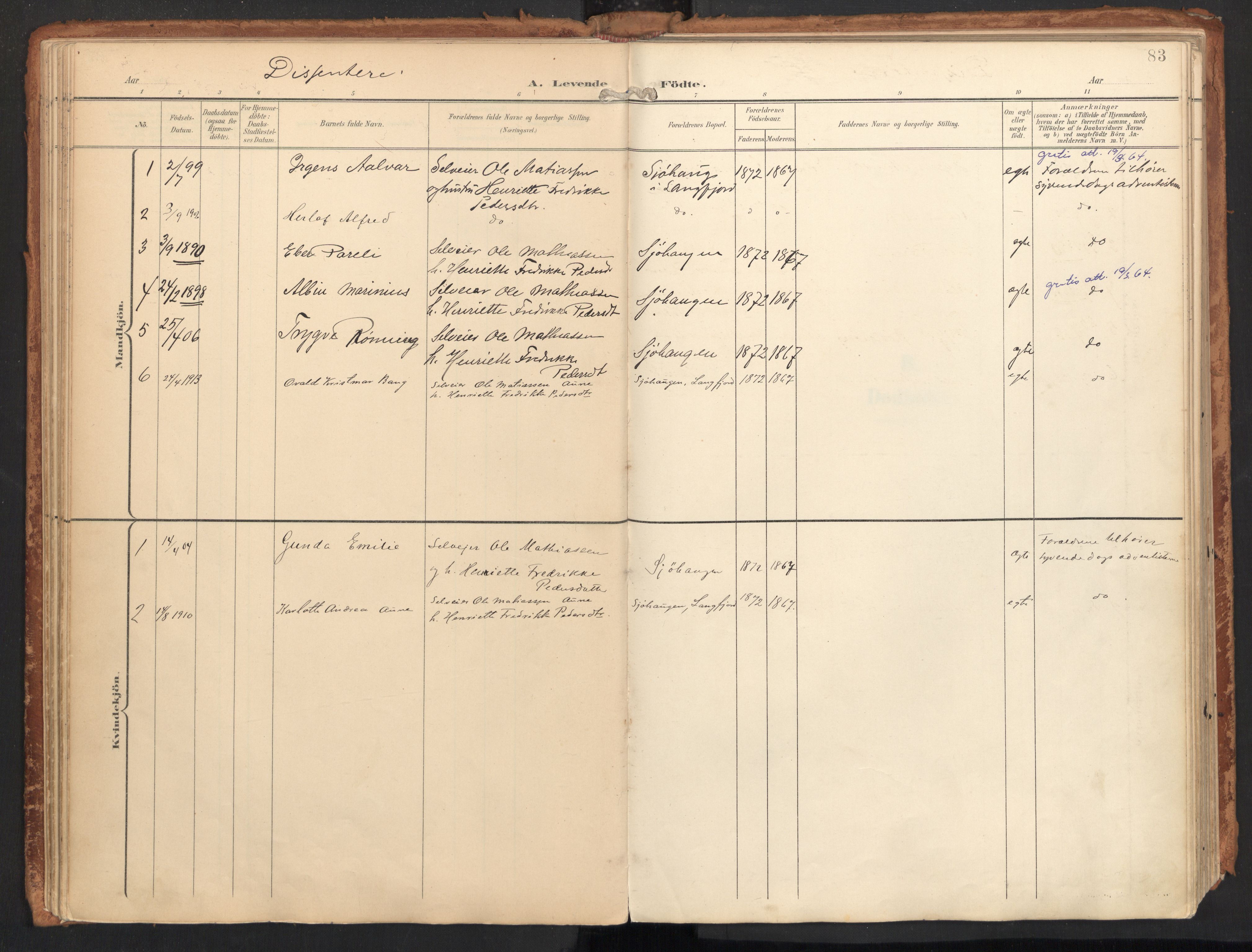 Ministerialprotokoller, klokkerbøker og fødselsregistre - Nordland, SAT/A-1459/814/L0227: Parish register (official) no. 814A08, 1899-1920, p. 83