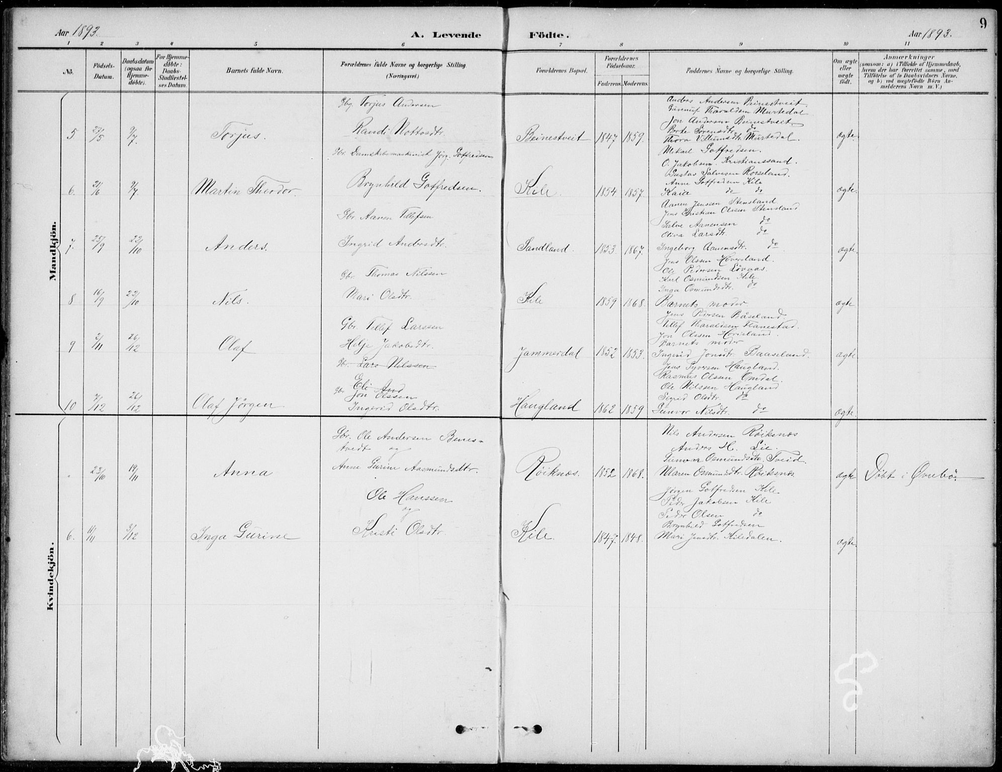 Vennesla sokneprestkontor, AV/SAK-1111-0045/Fb/Fba/L0003: Parish register (copy) no. B 3, 1890-1919, p. 9