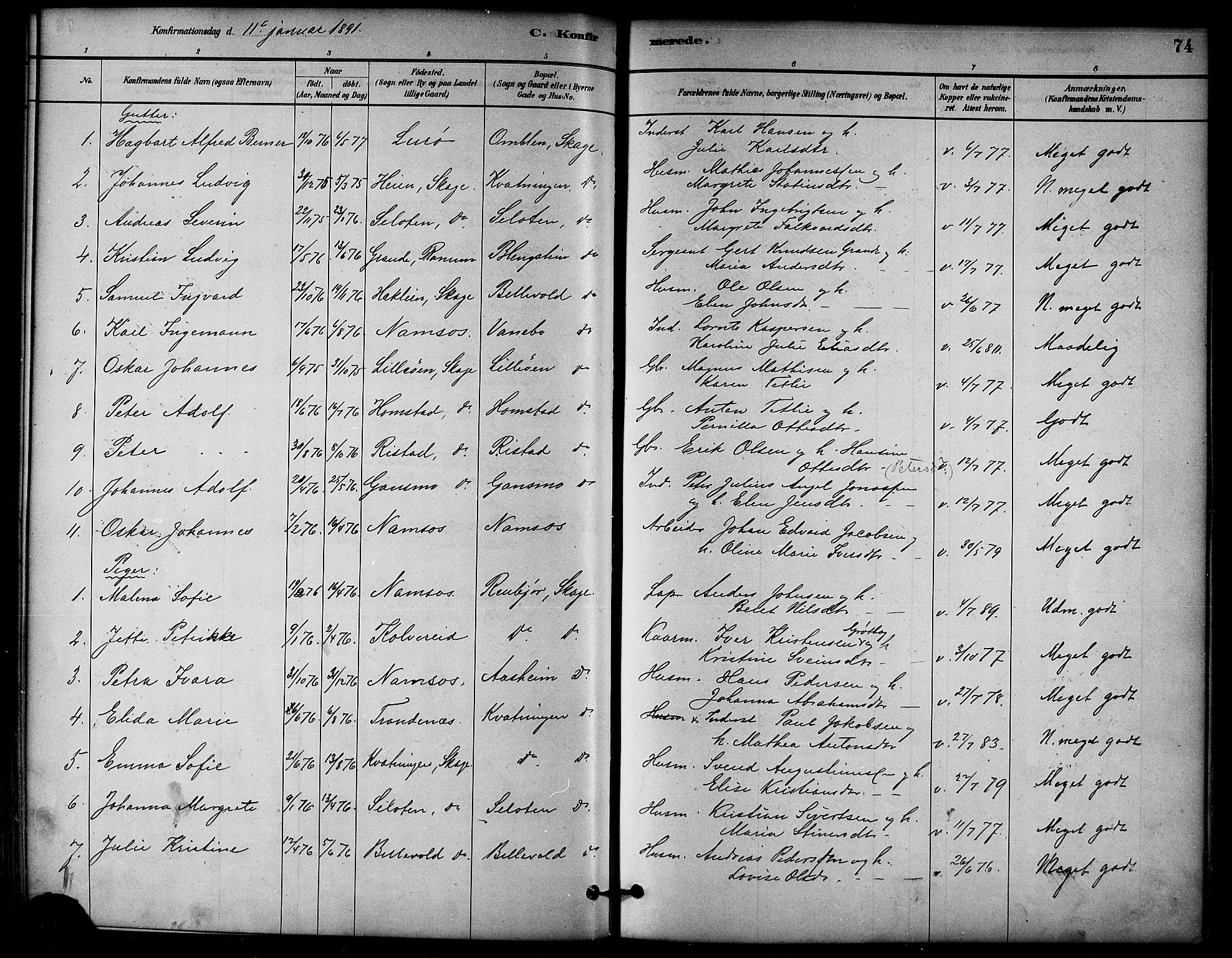 Ministerialprotokoller, klokkerbøker og fødselsregistre - Nord-Trøndelag, AV/SAT-A-1458/766/L0563: Parish register (official) no. 767A01, 1881-1899, p. 74