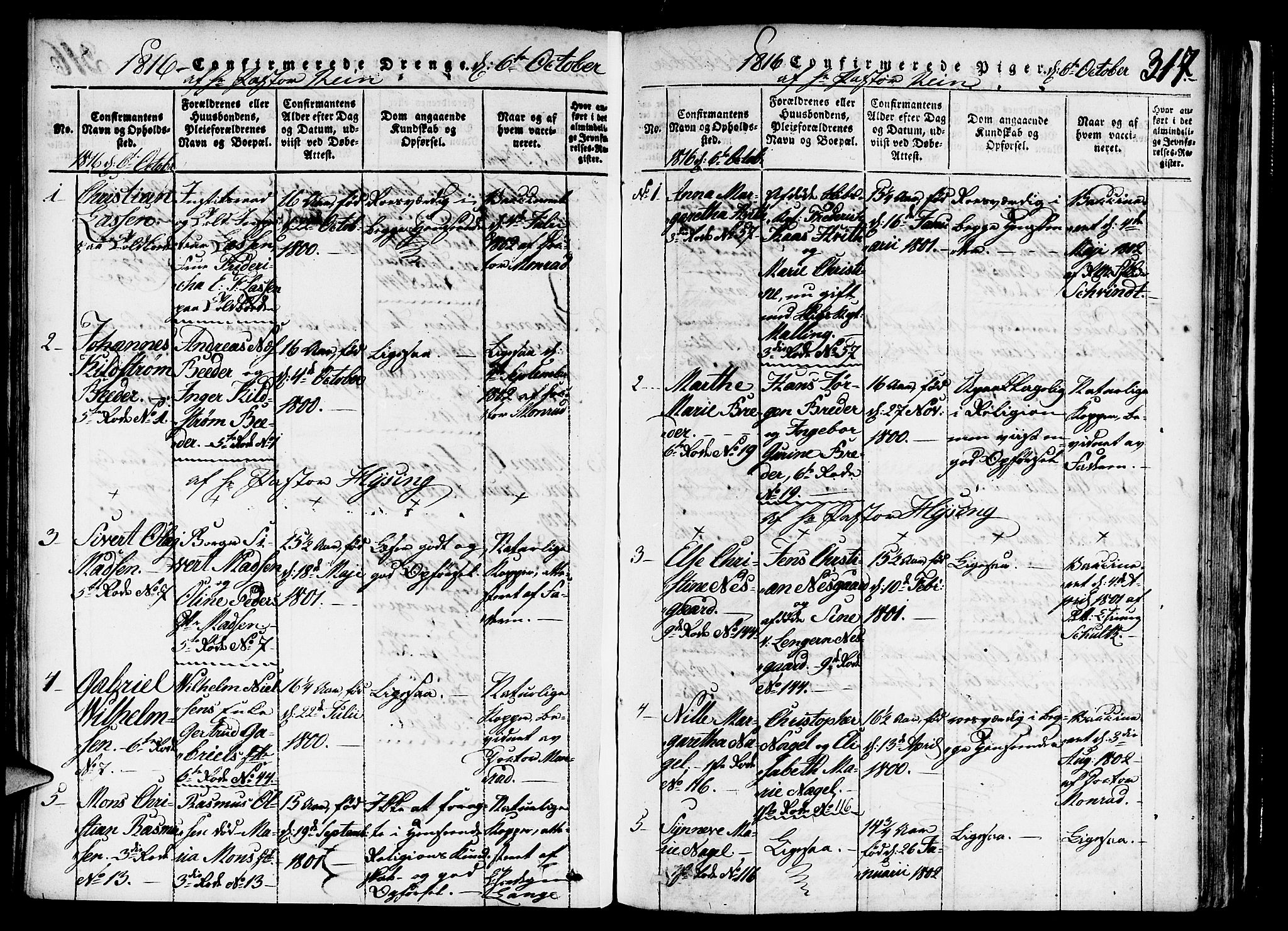 Nykirken Sokneprestembete, AV/SAB-A-77101/H/Haa/L0011: Parish register (official) no. A 11, 1816-1821, p. 317