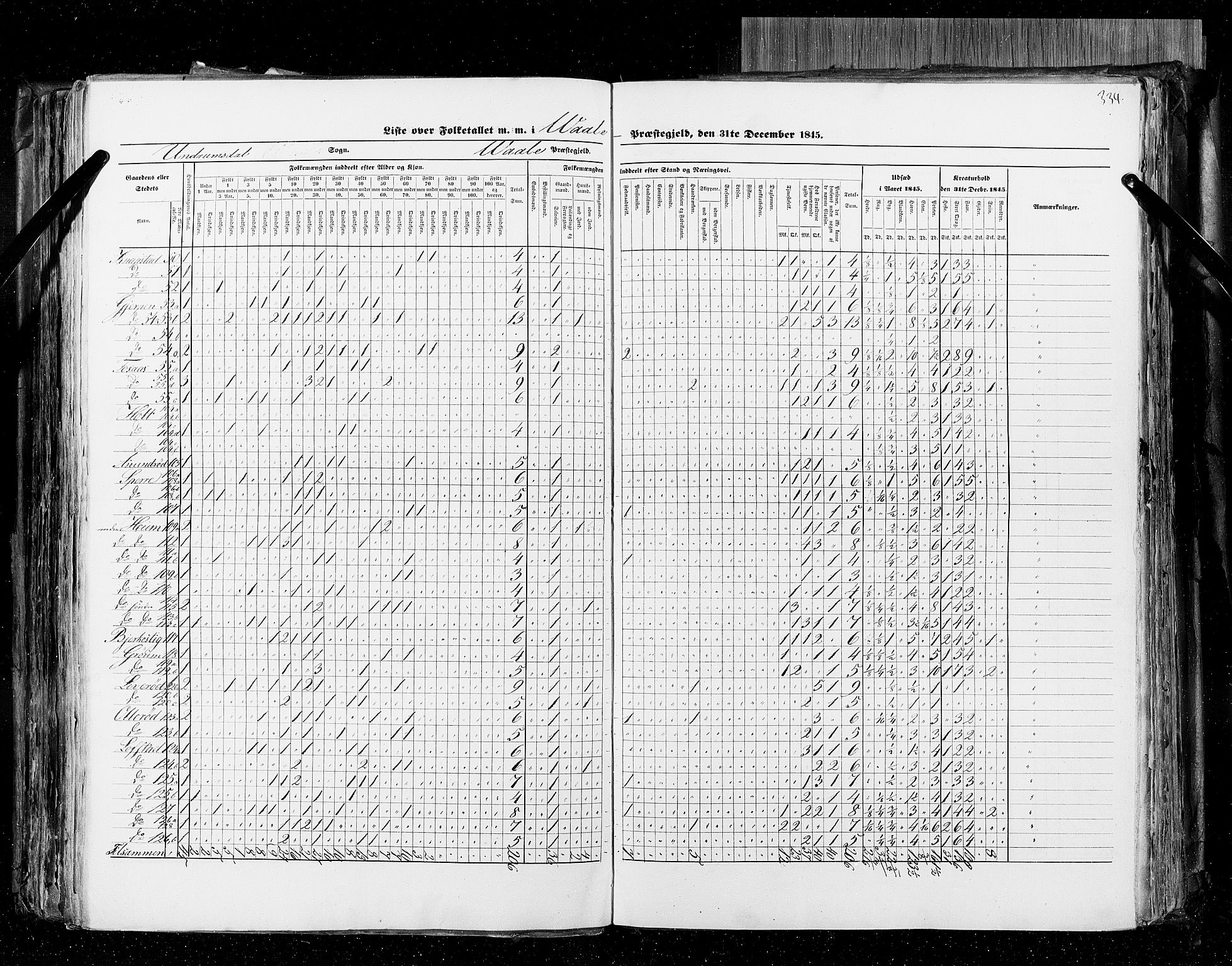 RA, Census 1845, vol. 4: Buskerud amt og Jarlsberg og Larvik amt, 1845, p. 334