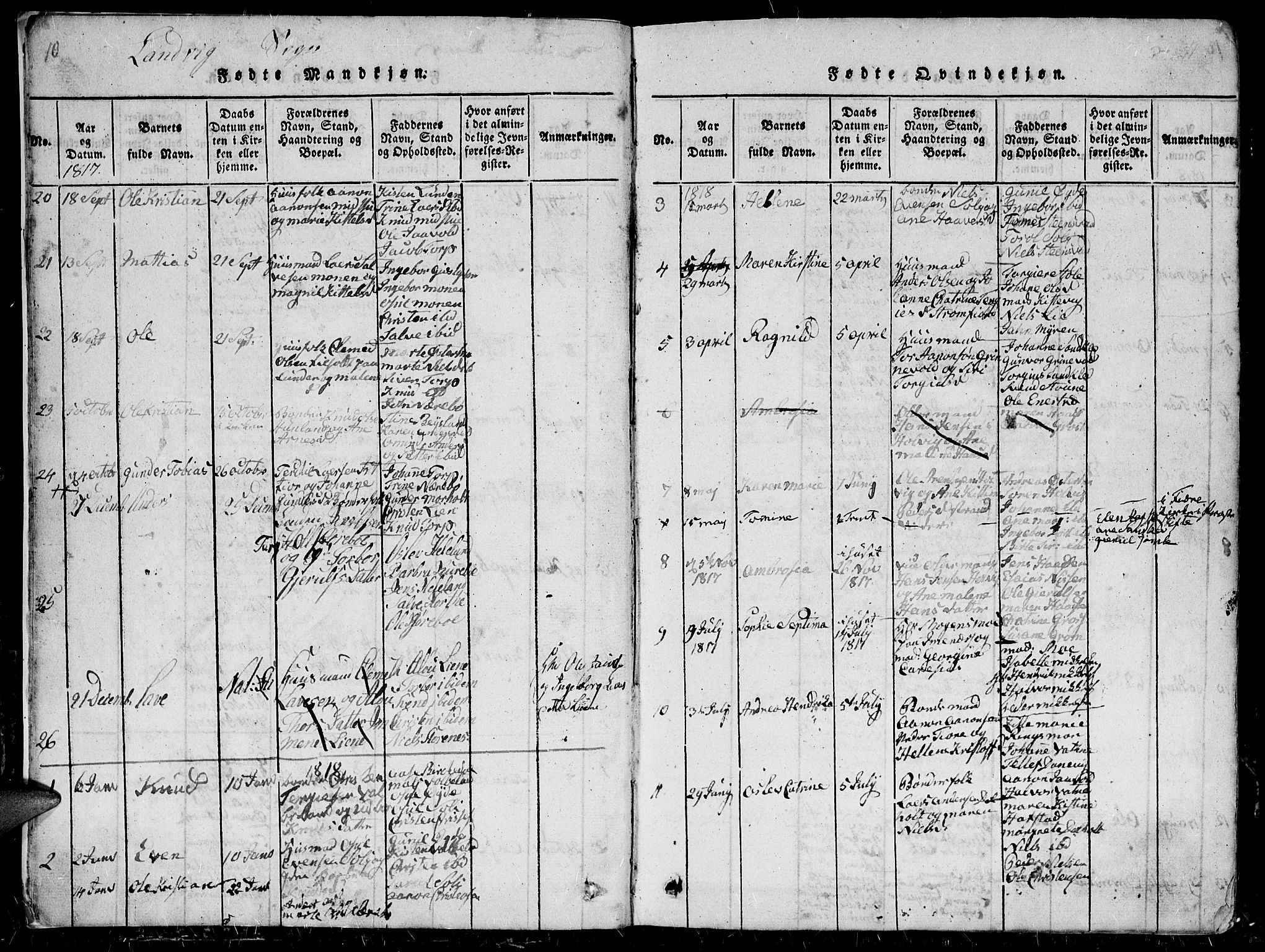 Hommedal sokneprestkontor, SAK/1111-0023/F/Fb/Fbb/L0003: Parish register (copy) no. B 3 /1, 1816-1850, p. 10-11