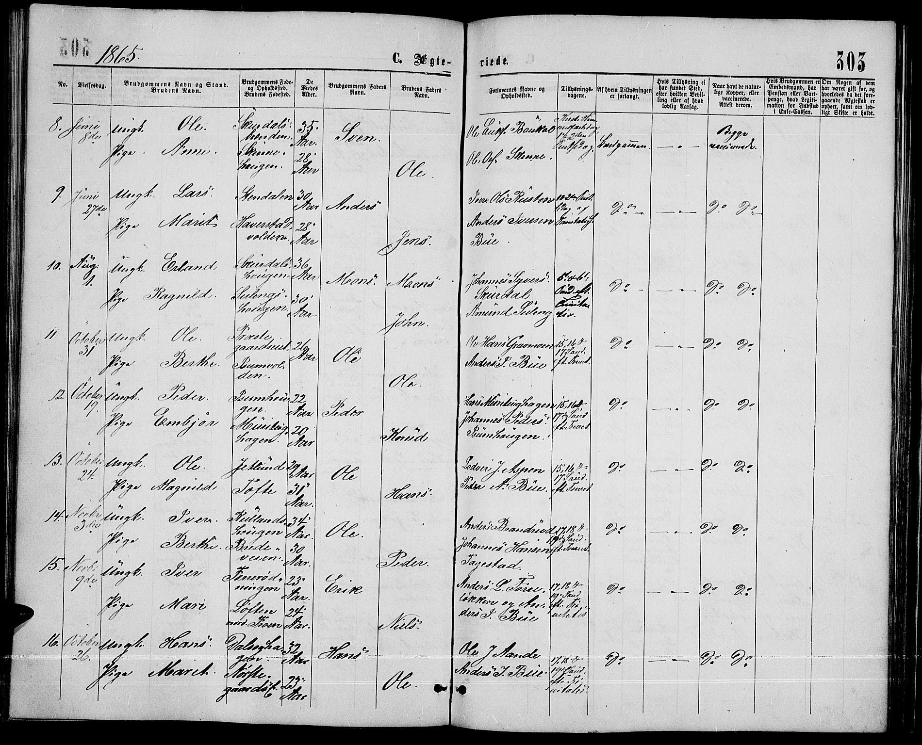 Sør-Fron prestekontor, AV/SAH-PREST-010/H/Ha/Hab/L0002: Parish register (copy) no. 2, 1864-1883, p. 303