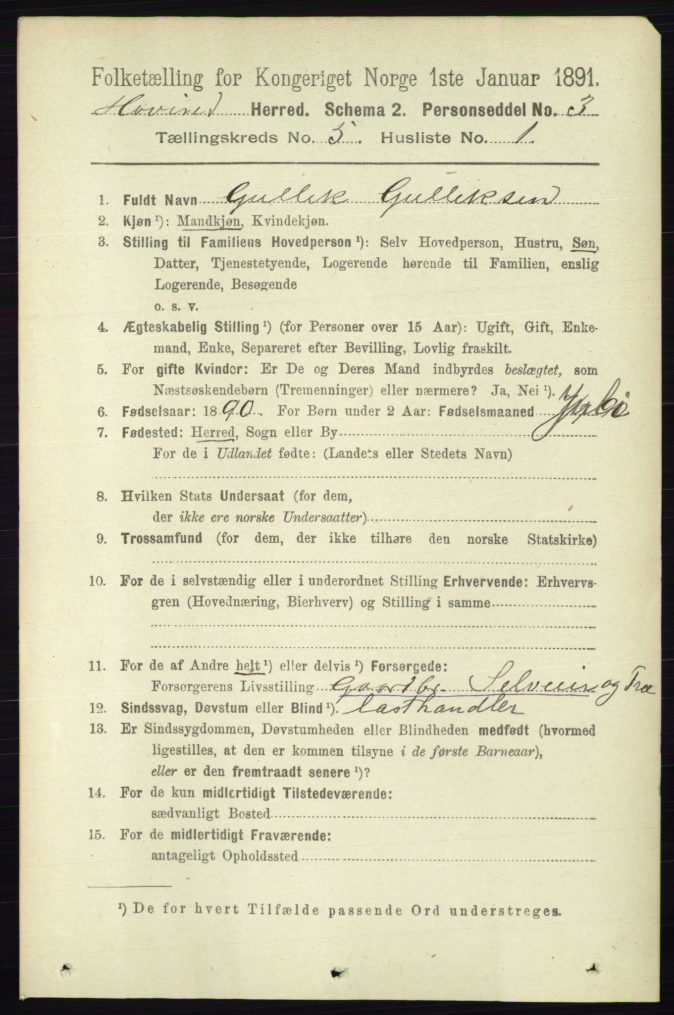 RA, 1891 census for 0825 Hovin, 1891, p. 984