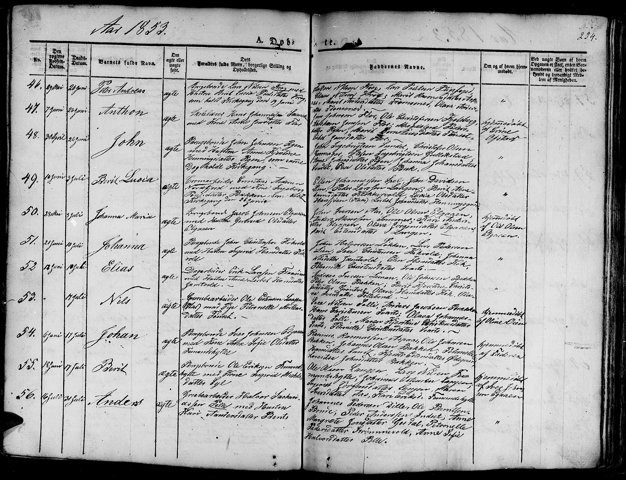 Ministerialprotokoller, klokkerbøker og fødselsregistre - Sør-Trøndelag, AV/SAT-A-1456/681/L0938: Parish register (copy) no. 681C02, 1829-1879, p. 254