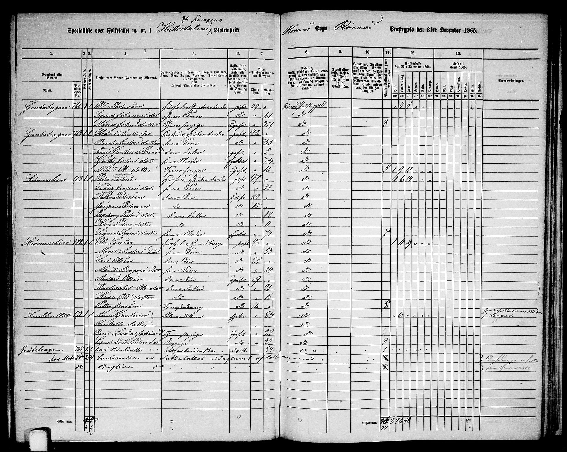 RA, 1865 census for Røros, 1865, p. 115