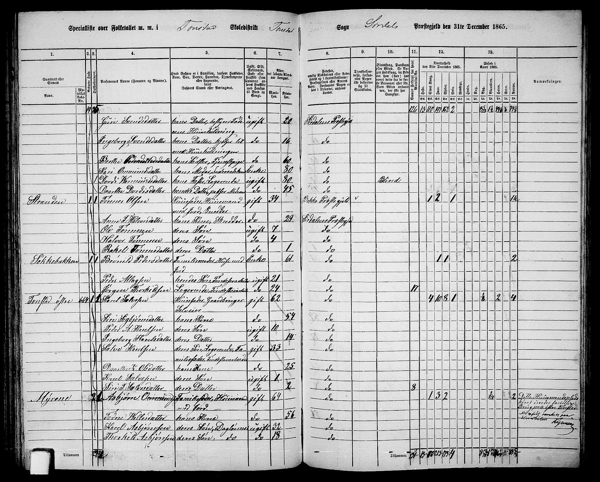 RA, 1865 census for Sirdal, 1865, p. 29