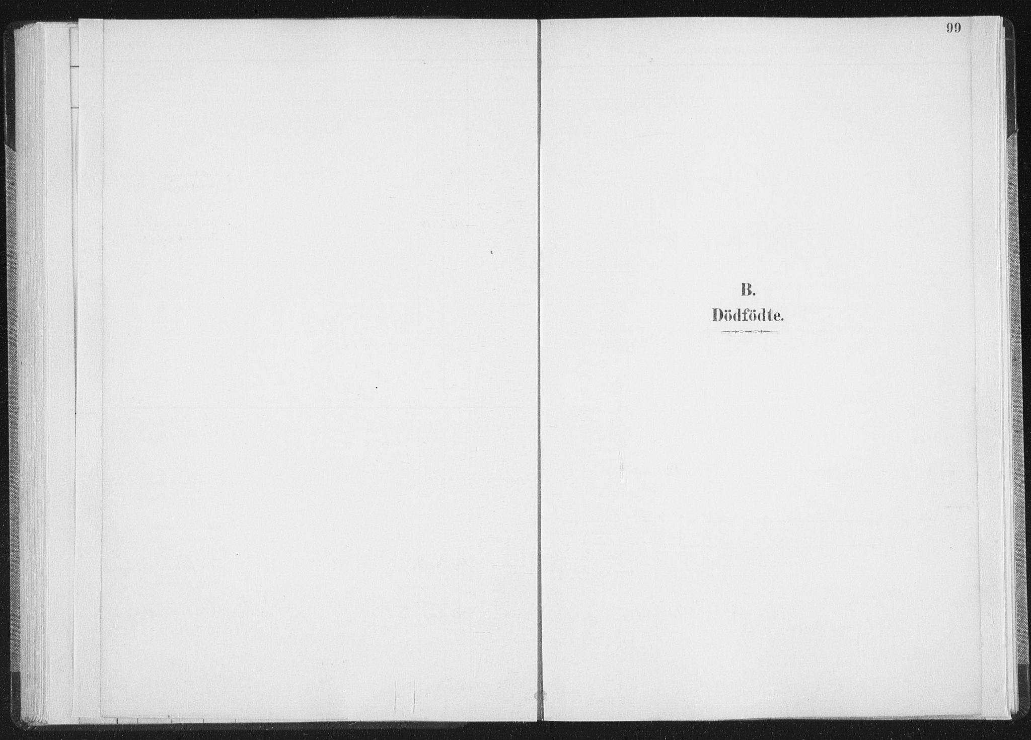 Ministerialprotokoller, klokkerbøker og fødselsregistre - Nordland, SAT/A-1459/898/L1422: Parish register (official) no. 898A02, 1887-1908, p. 99