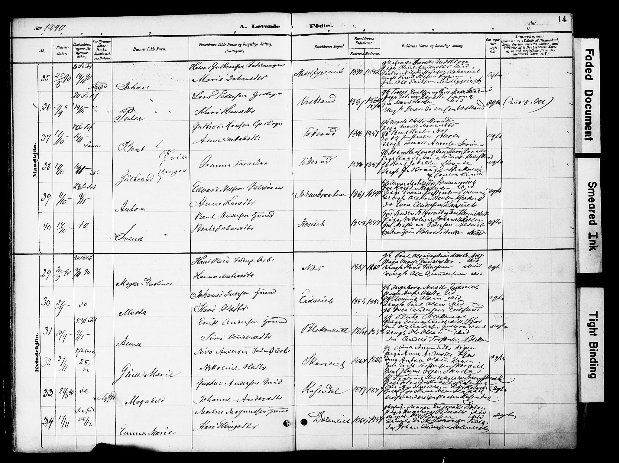 Gran prestekontor, SAH/PREST-112/H/Ha/Haa/L0020: Parish register (official) no. 20, 1889-1899, p. 14