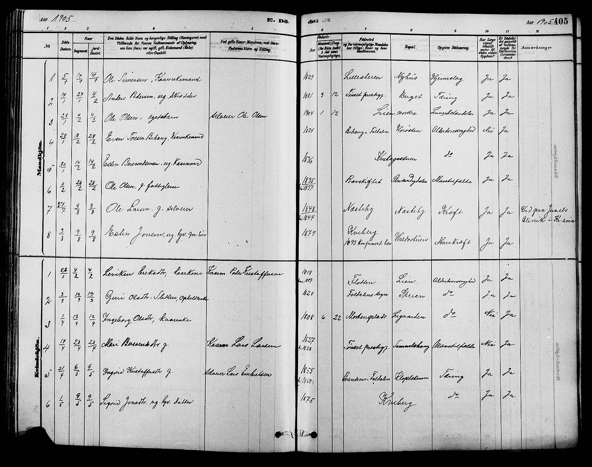 Alvdal prestekontor, SAH/PREST-060/H/Ha/Hab/L0003: Parish register (copy) no. 3, 1878-1907, p. 405