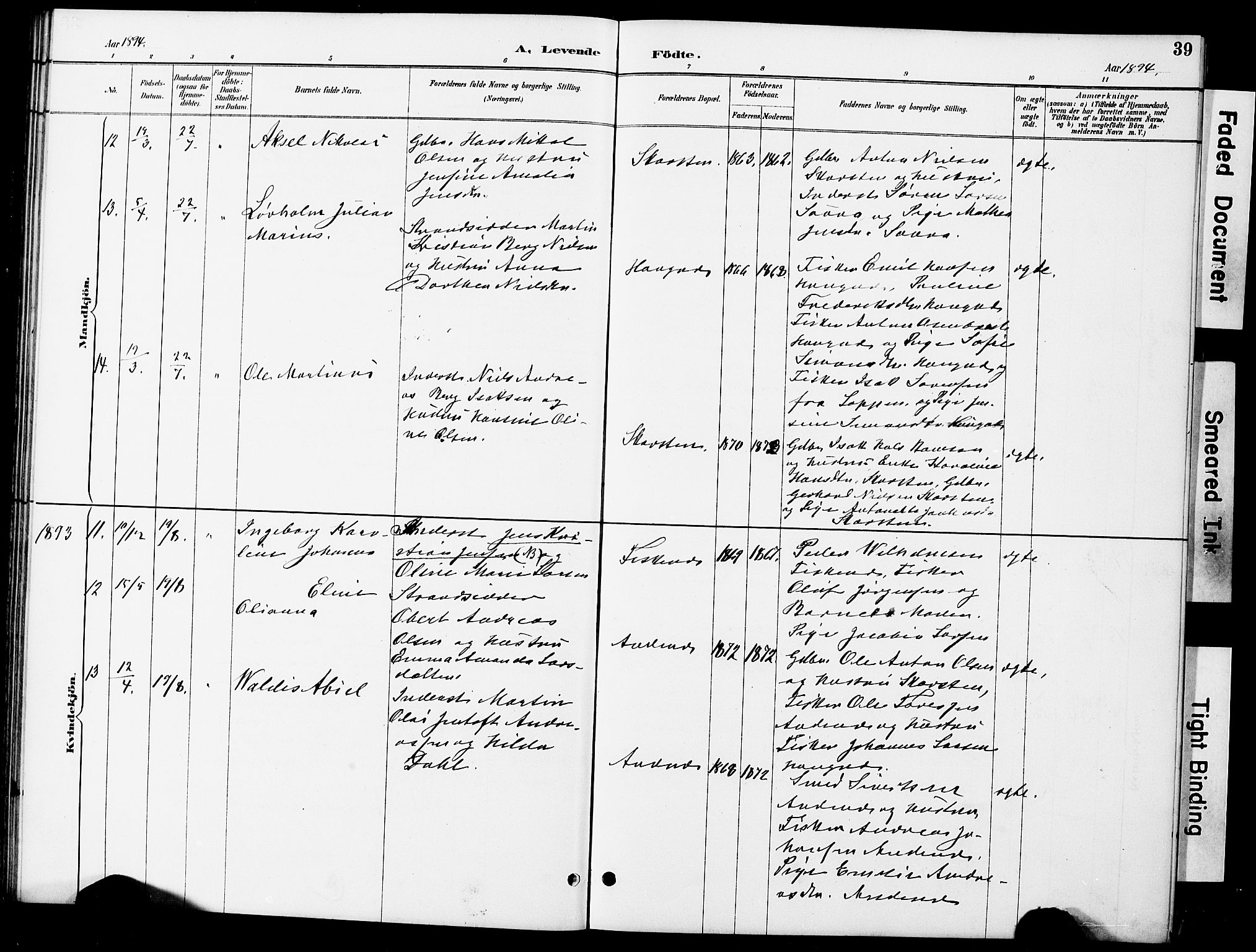 Ministerialprotokoller, klokkerbøker og fødselsregistre - Nordland, AV/SAT-A-1459/899/L1448: Parish register (copy) no. 899C03, 1887-1902, p. 39