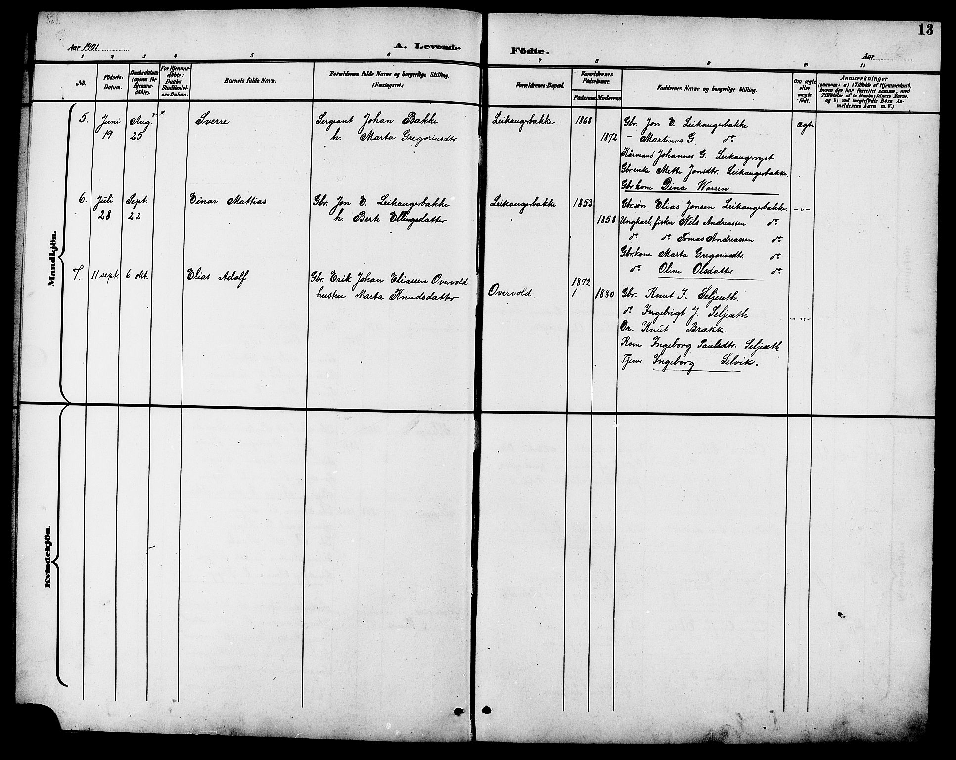 Ministerialprotokoller, klokkerbøker og fødselsregistre - Møre og Romsdal, AV/SAT-A-1454/508/L0098: Parish register (copy) no. 508C02, 1898-1916, p. 13