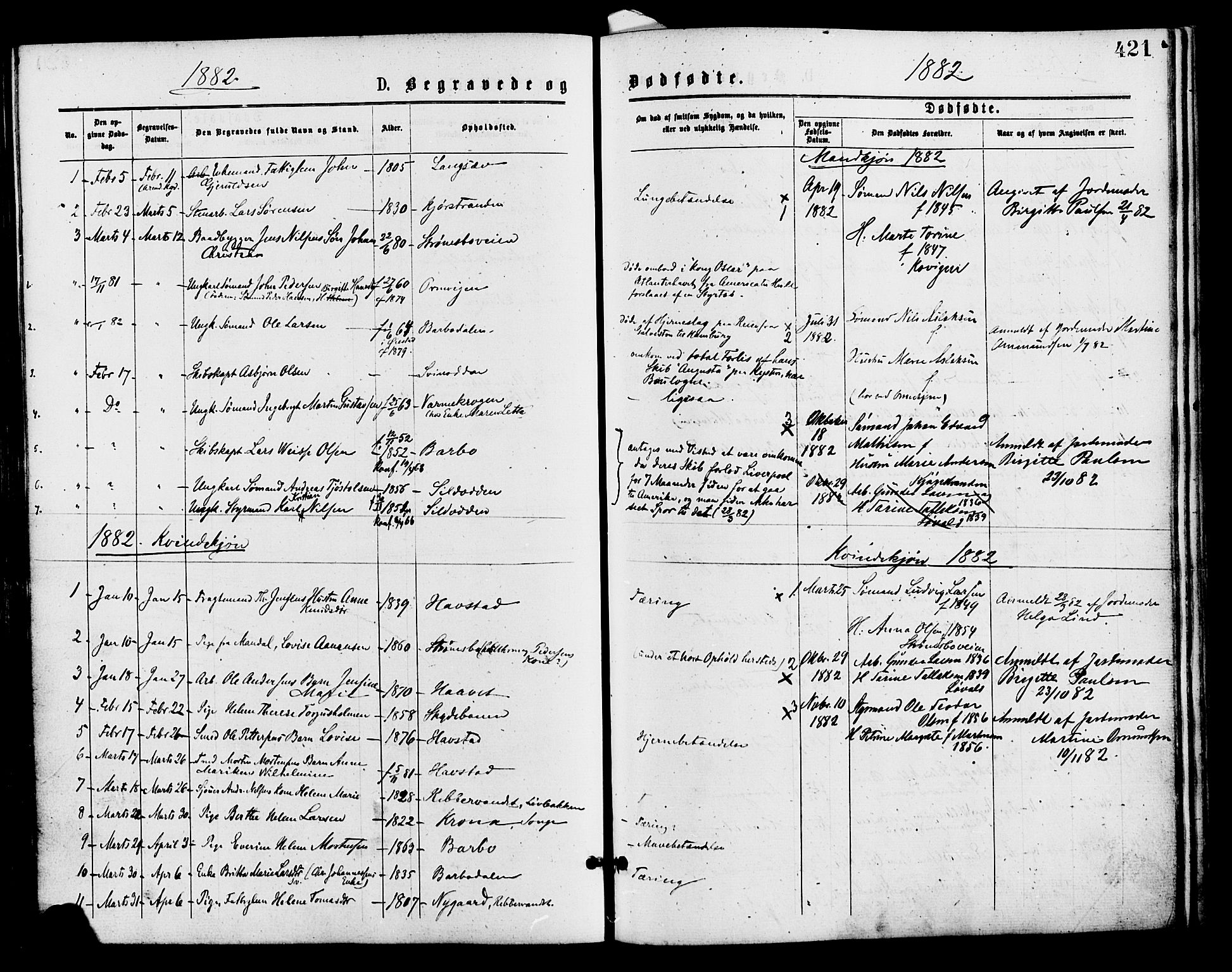 Barbu sokneprestkontor, AV/SAK-1111-0003/F/Fa/L0001: Parish register (official) no. A 1 /1, 1878-1883, p. 421