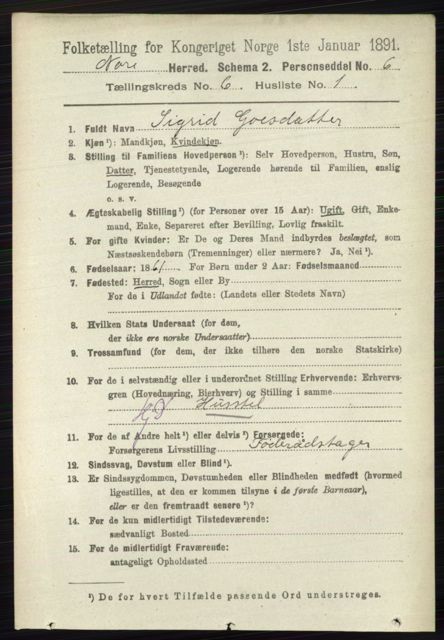 RA, 1891 census for 0633 Nore, 1891, p. 1970