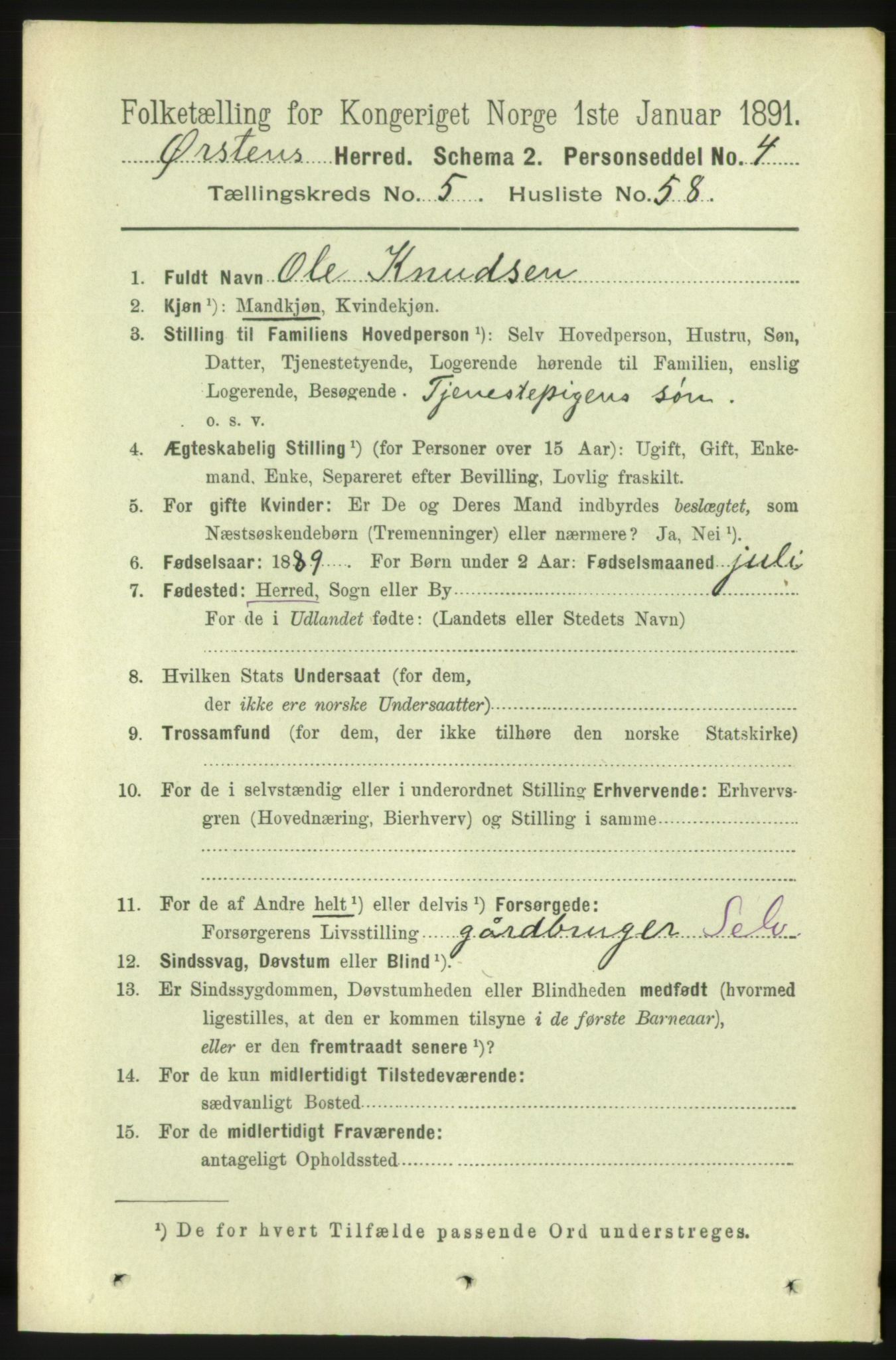 RA, 1891 census for 1520 Ørsta, 1891, p. 2612