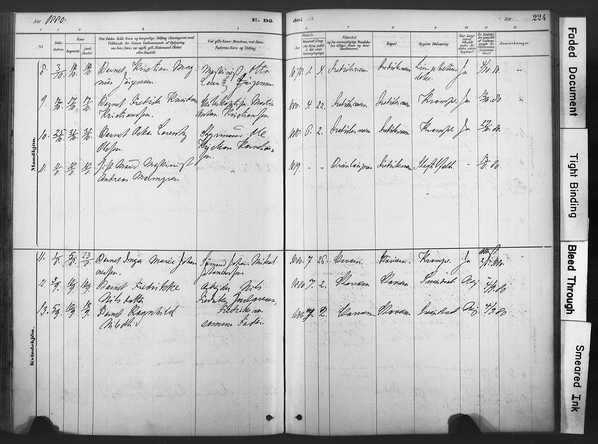 Stavern kirkebøker, SAKO/A-318/F/Fa/L0008: Parish register (official) no. 8, 1878-1905, p. 224