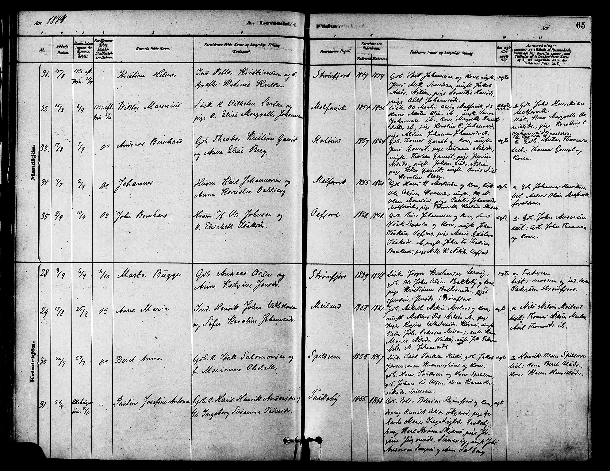 Skjervøy sokneprestkontor, AV/SATØ-S-1300/H/Ha/Haa/L0009kirke: Parish register (official) no. 9, 1878-1887, p. 65