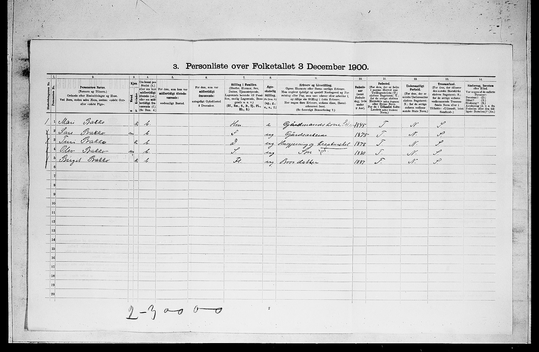 RA, 1900 census for Ål, 1900, p. 1244