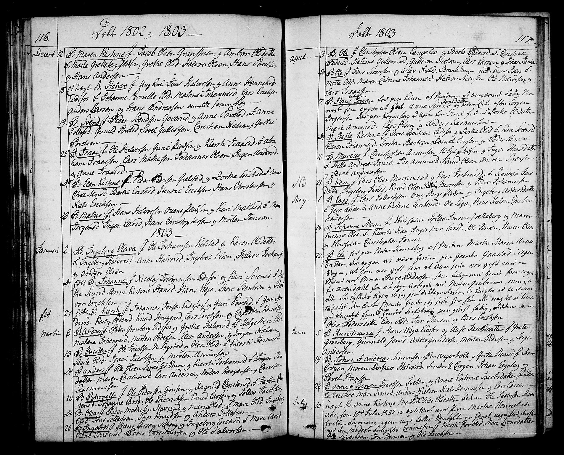 Hof kirkebøker, AV/SAKO-A-64/F/Fa/L0003: Parish register (official) no. I 3, 1782-1814, p. 116-117