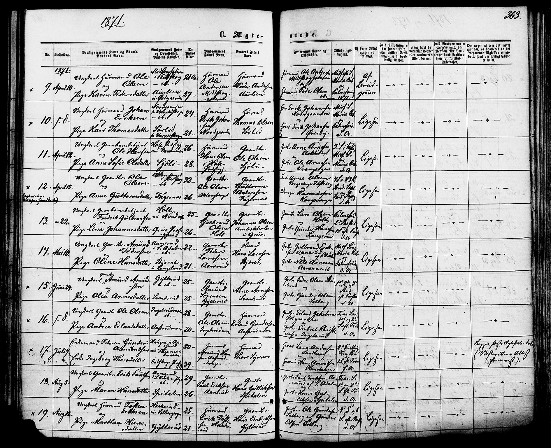 Vinger prestekontor, AV/SAH-PREST-024/H/Ha/Haa/L0012: Parish register (official) no. 12, 1871-1880, p. 363