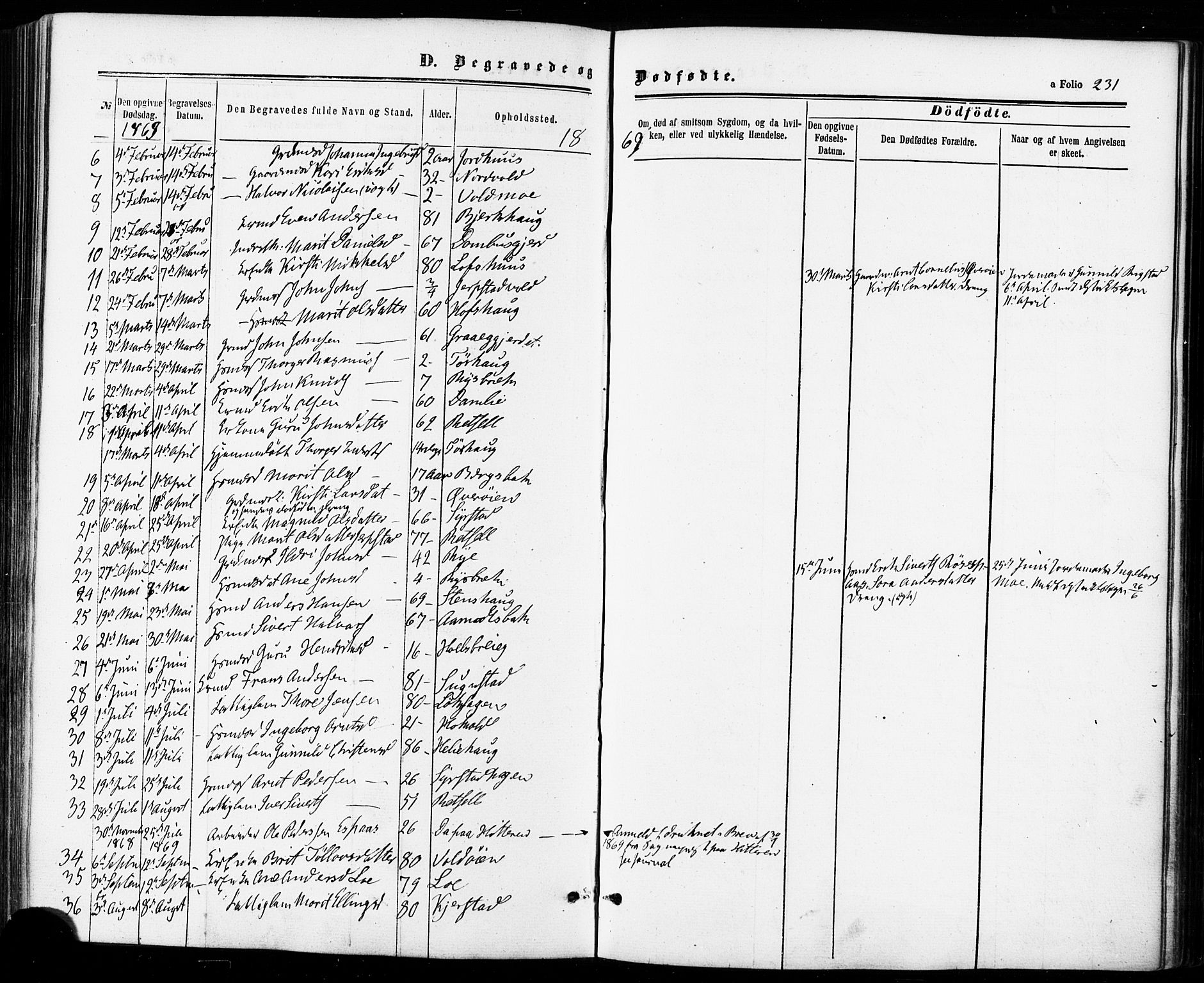 Ministerialprotokoller, klokkerbøker og fødselsregistre - Sør-Trøndelag, SAT/A-1456/672/L0856: Parish register (official) no. 672A08, 1861-1881, p. 231