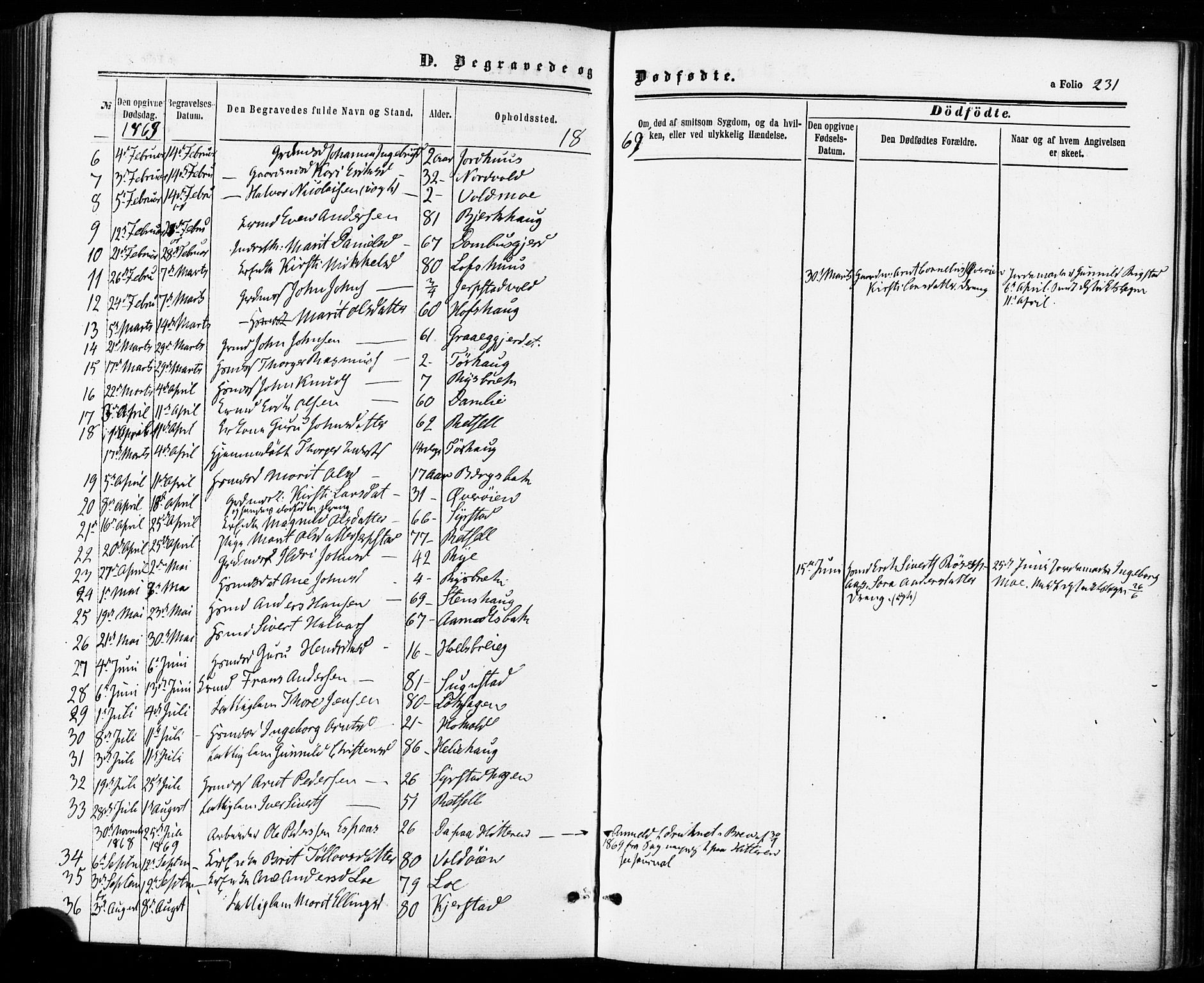 Ministerialprotokoller, klokkerbøker og fødselsregistre - Sør-Trøndelag, AV/SAT-A-1456/672/L0856: Parish register (official) no. 672A08, 1861-1881, p. 231