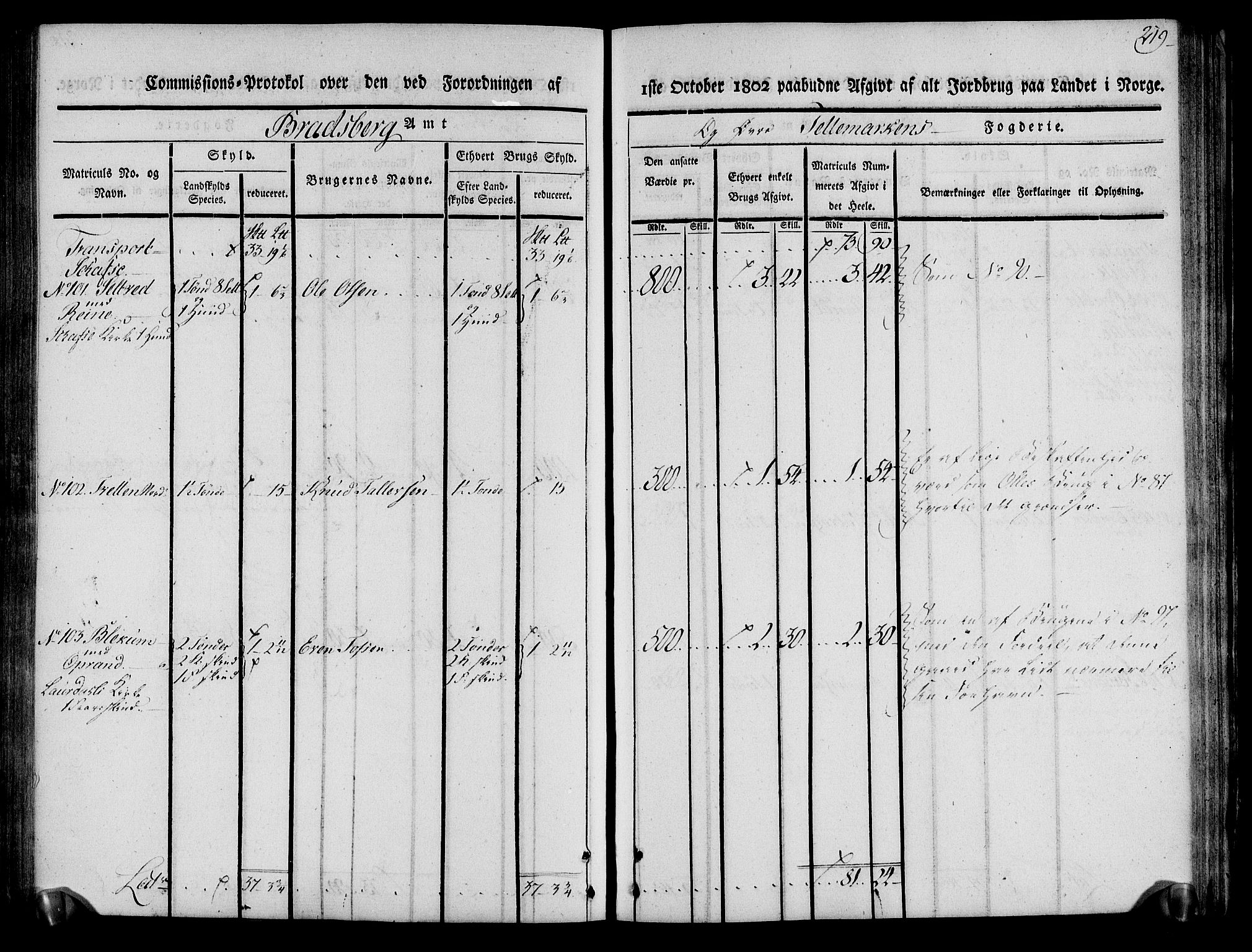 Rentekammeret inntil 1814, Realistisk ordnet avdeling, AV/RA-EA-4070/N/Ne/Nea/L0075: Øvre Telemarken fogderi. Kommisjonsprotokoll for fogderiets vestre del - Kviteseid, Vinje, Moland [):Fyresdal] og Lårdal prestegjeld., 1803, p. 221