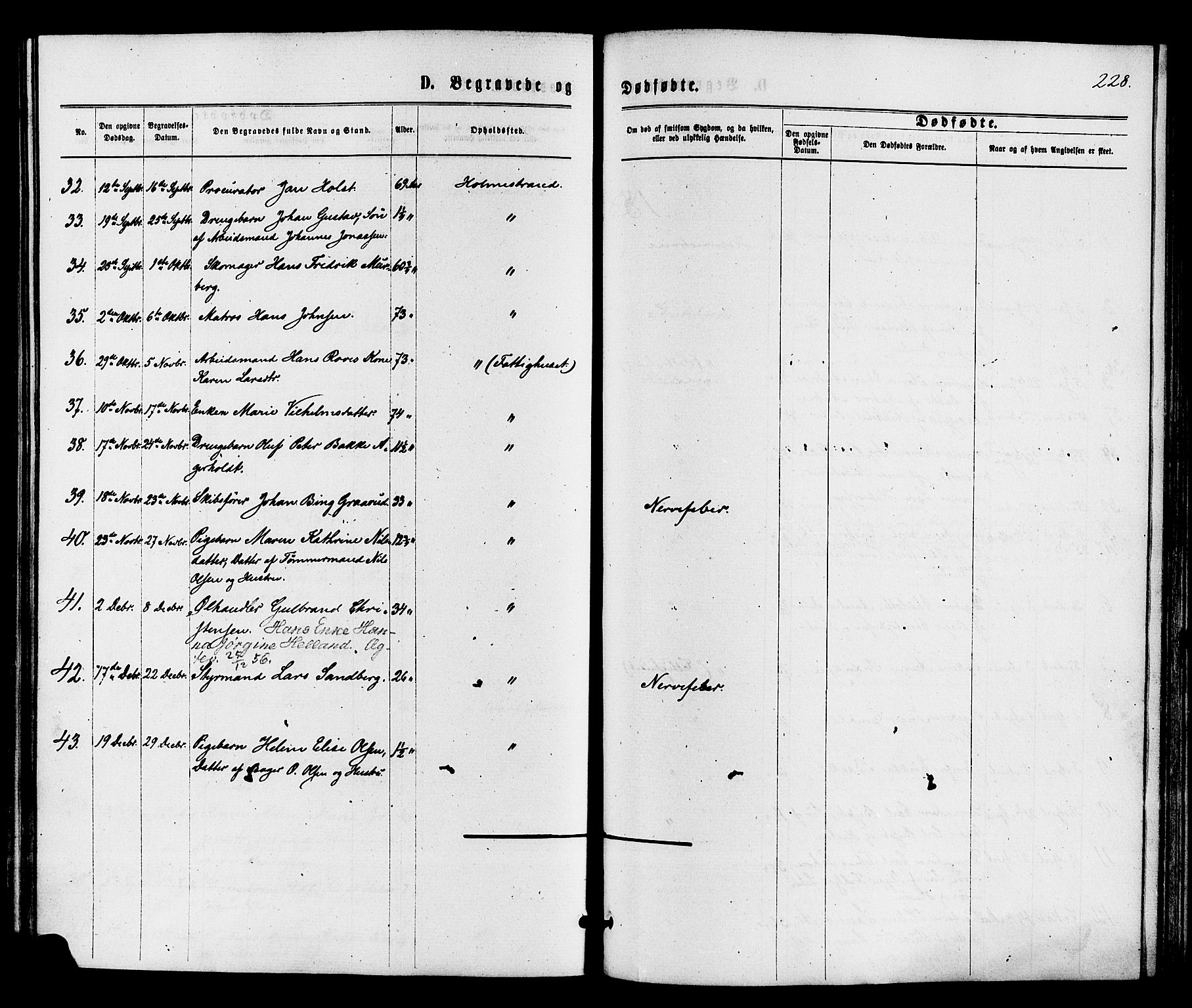 Holmestrand kirkebøker, SAKO/A-346/F/Fa/L0003: Parish register (official) no. 3, 1867-1879, p. 228
