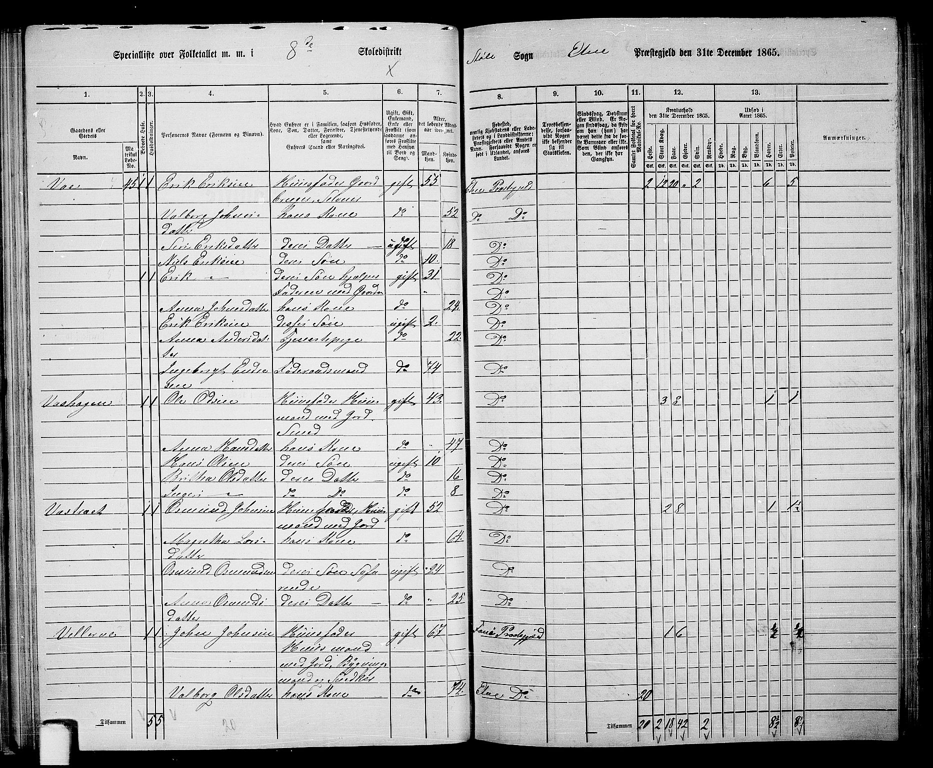 RA, 1865 census for Etne, 1865, p. 47