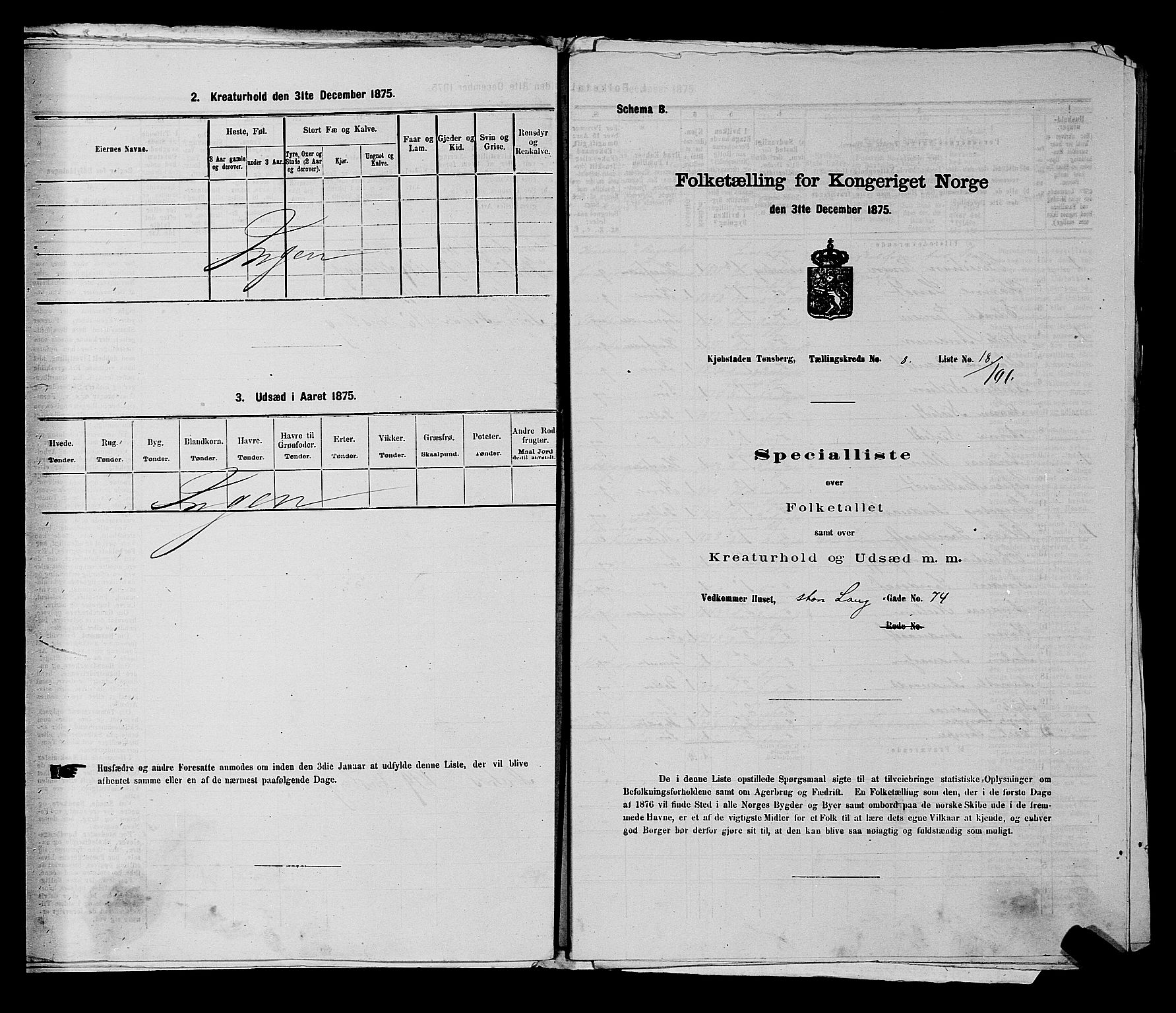 SAKO, 1875 census for 0705P Tønsberg, 1875, p. 258