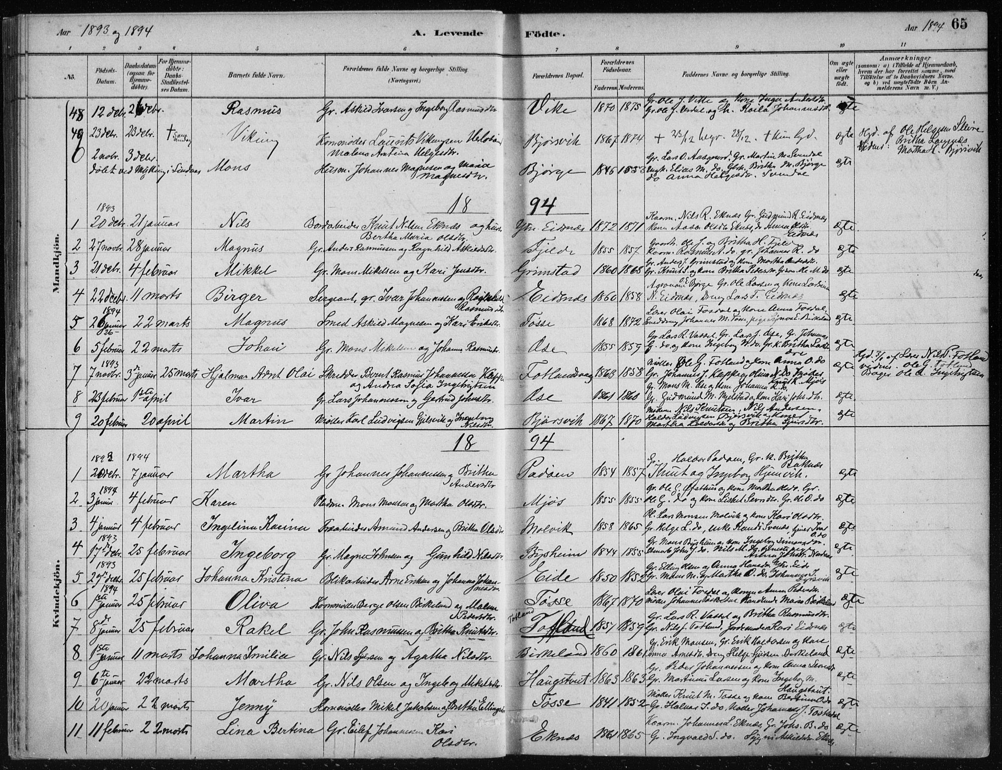 Hosanger sokneprestembete, SAB/A-75801/H/Haa: Parish register (official) no. B  1, 1880-1896, p. 65
