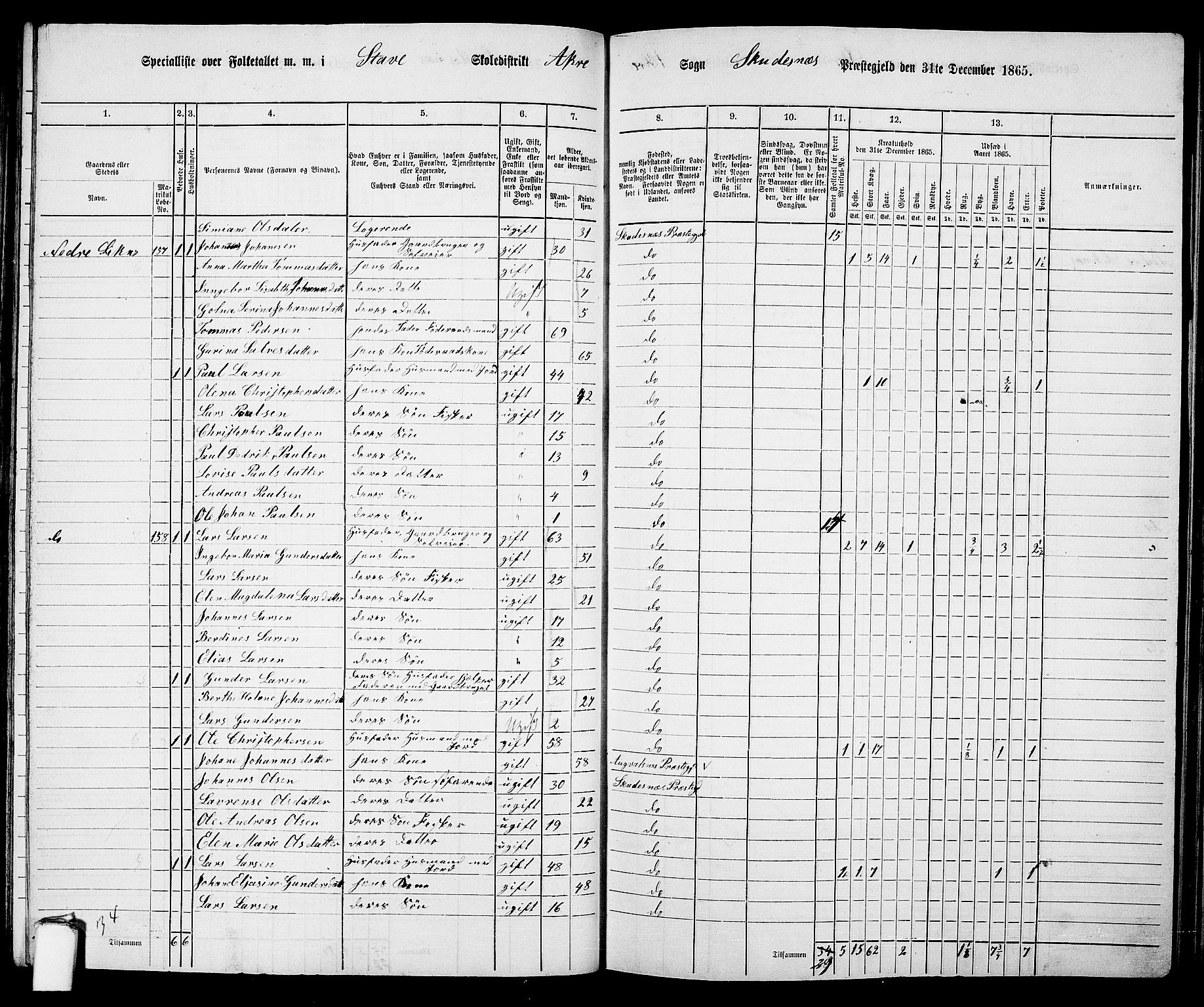 RA, 1865 census for Skudenes, 1865, p. 88