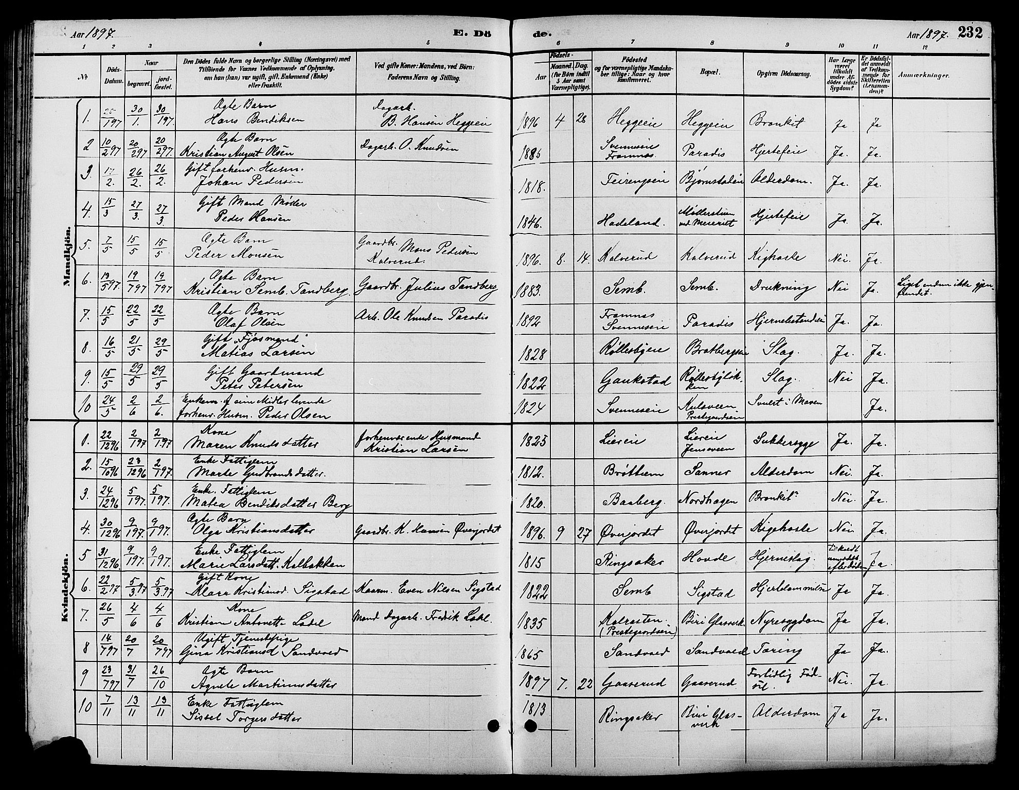 Biri prestekontor, SAH/PREST-096/H/Ha/Hab/L0004: Parish register (copy) no. 4, 1892-1909, p. 232