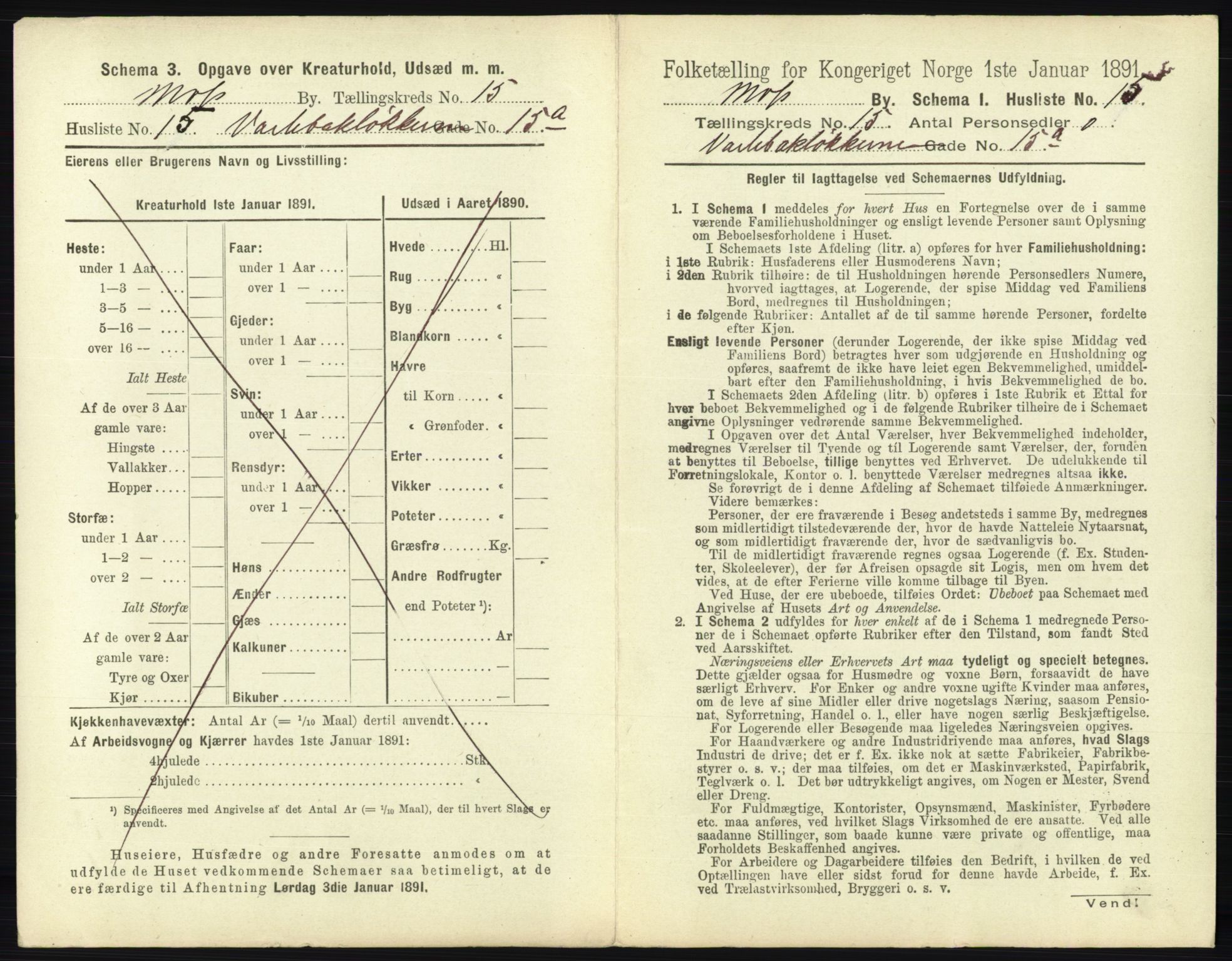 RA, 1891 census for 0104 Moss, 1891, p. 1010