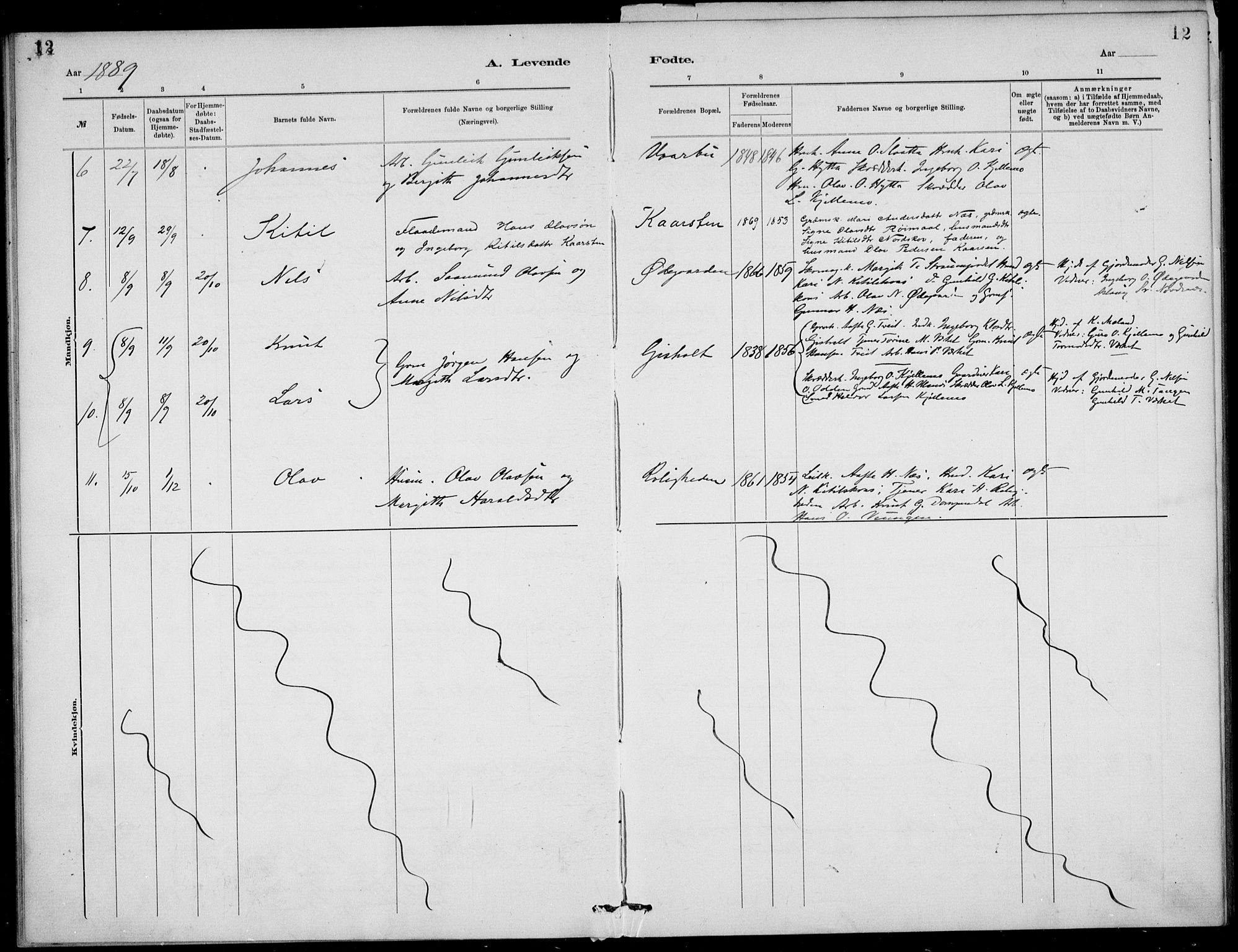 Lunde kirkebøker, SAKO/A-282/F/Fb/L0003: Parish register (official) no. II 3, 1882-1891, p. 12