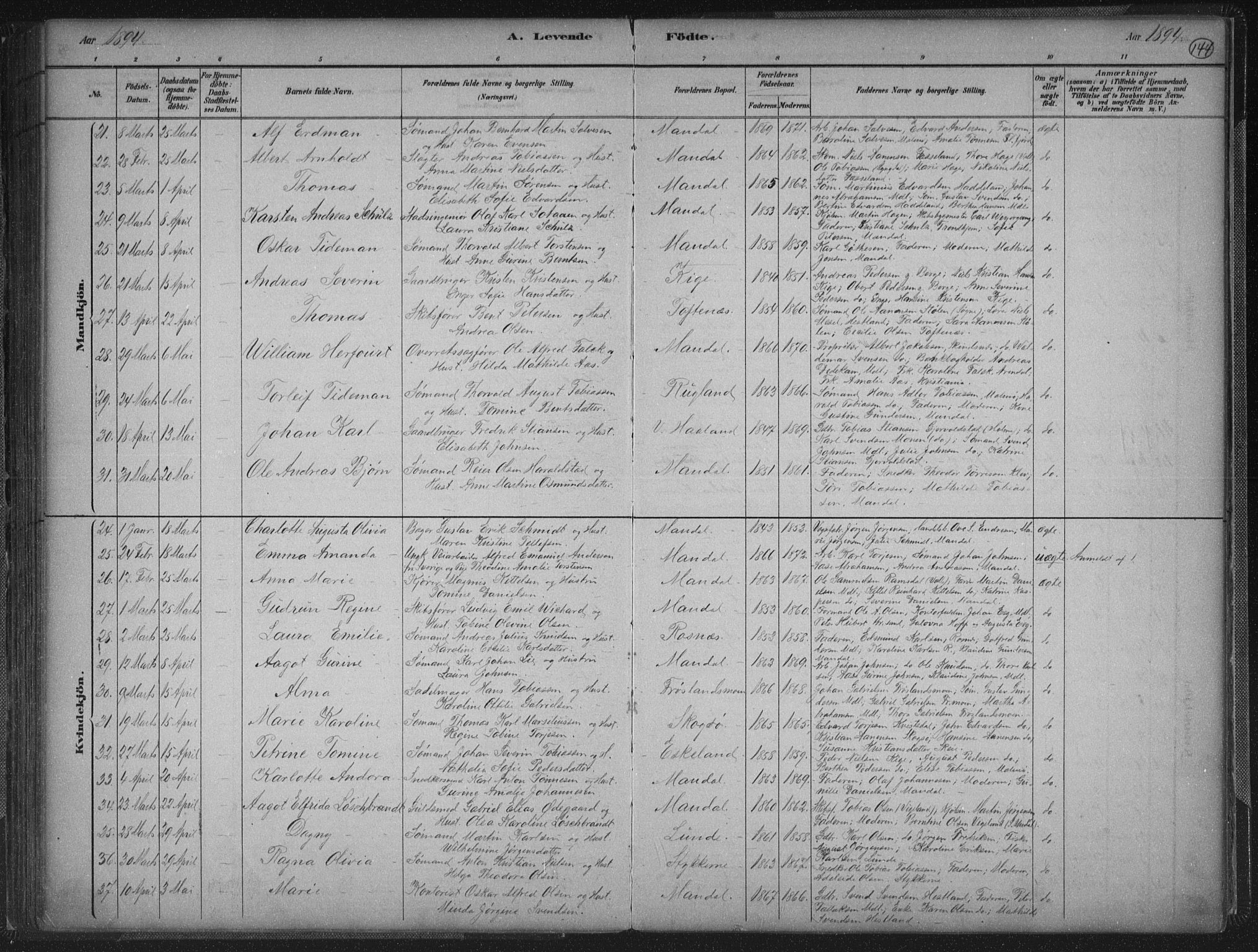 Mandal sokneprestkontor, SAK/1111-0030/F/Fb/Fba/L0011: Parish register (copy) no. B 5, 1880-1898, p. 144