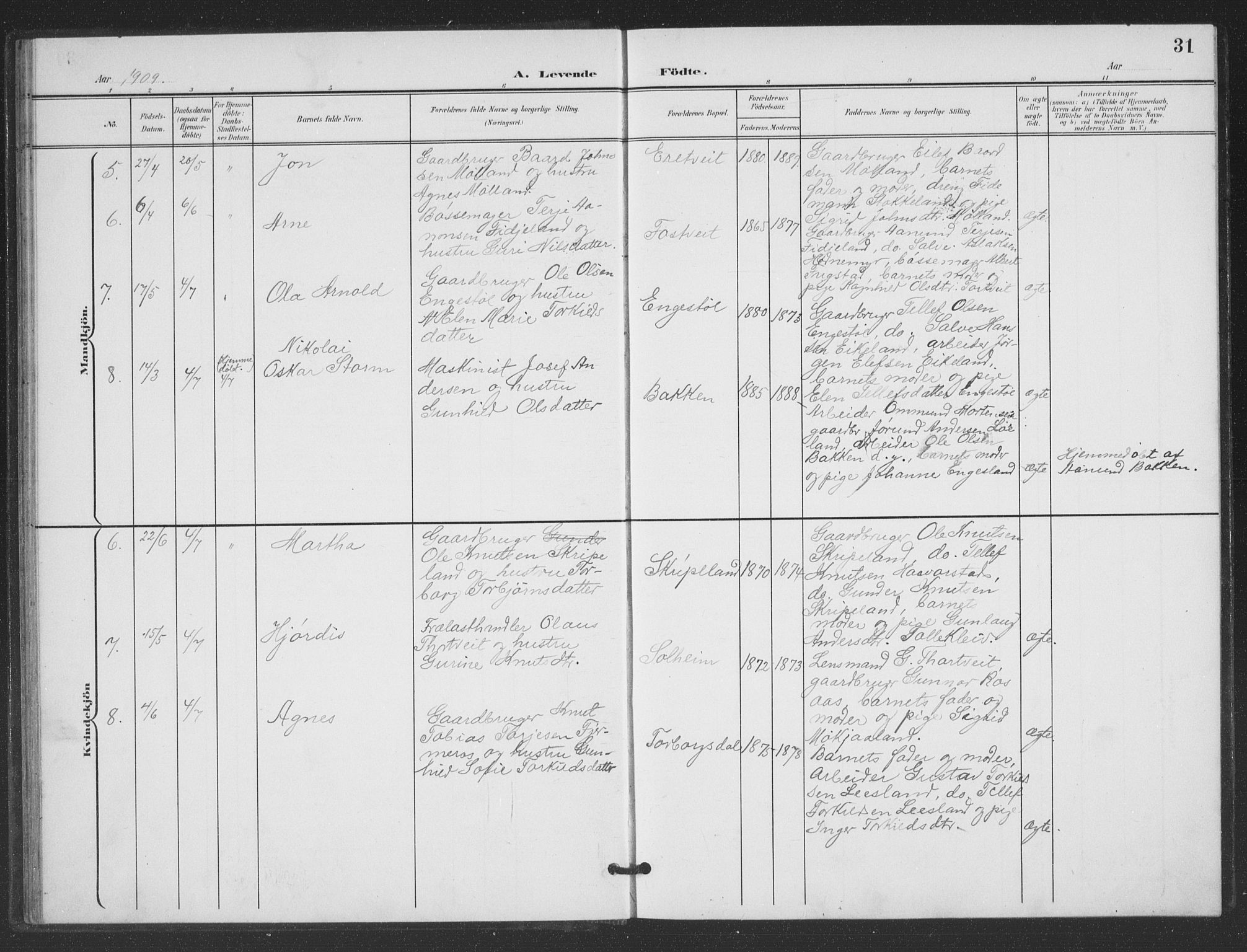 Evje sokneprestkontor, AV/SAK-1111-0008/F/Fb/Fbc/L0005: Parish register (copy) no. B 5, 1901-1935, p. 31